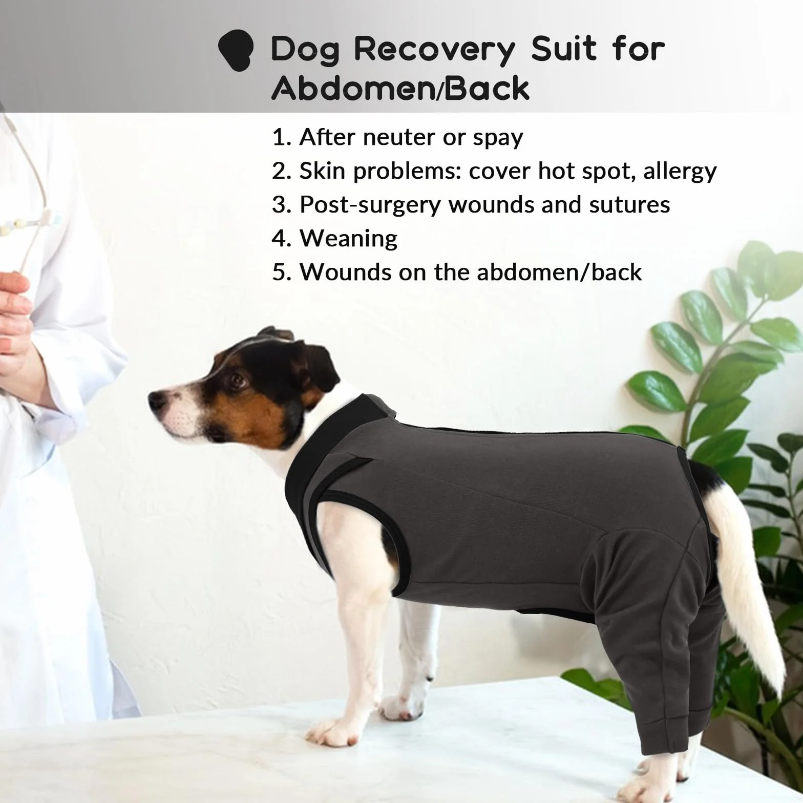 Body Chien, Body Post Operatoire Femelle Combinaison après Chirurgie Combinaison d’Opération de Chien Vêtements Chirurgicaux Anti-Léchage Gilet Post-Opératoire(Gris, M)