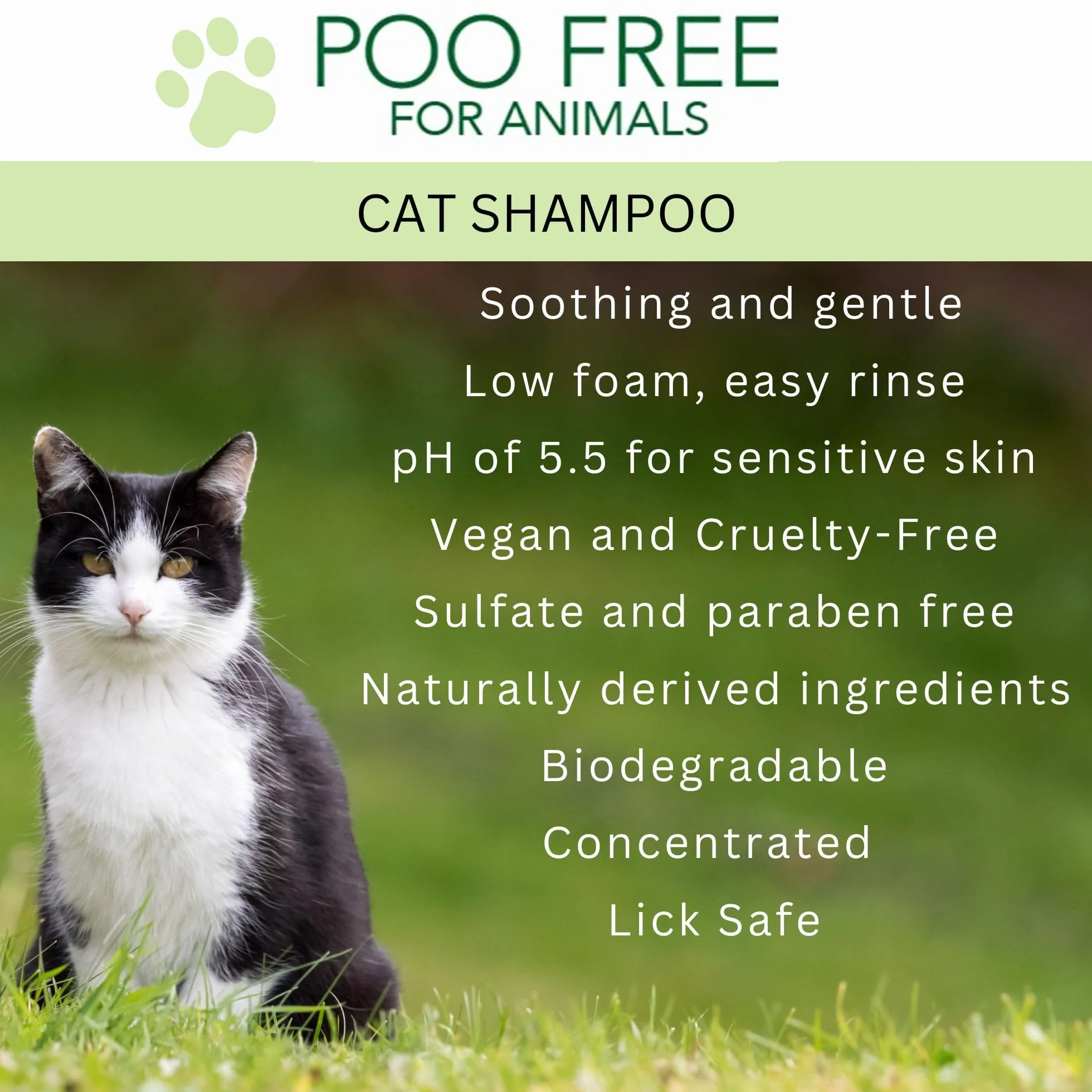 SHAMPOING APAISANT pour Chats 250ml Aloe Vera Thym Romarin sans Sulfates Parabènes Silicone