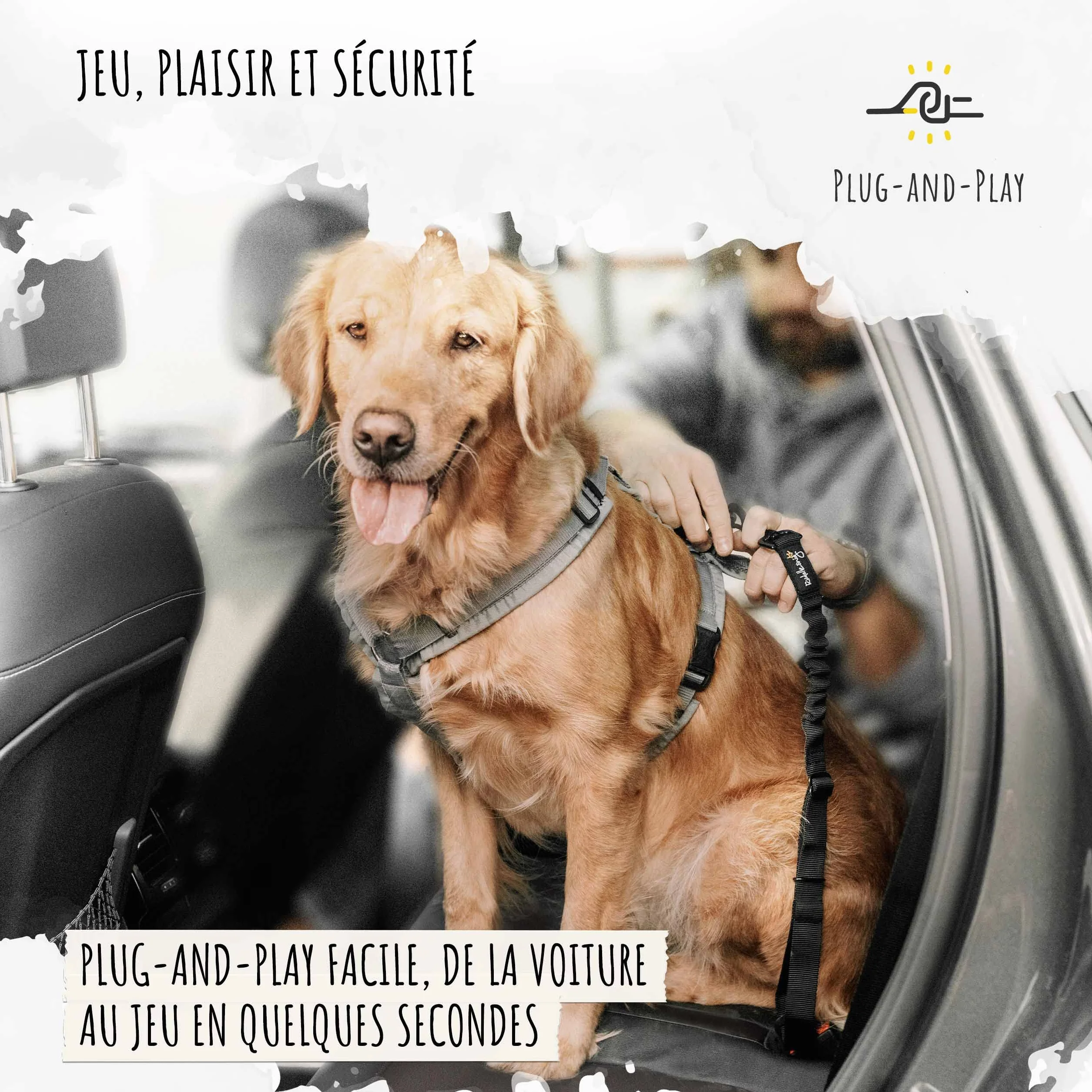 Rudelkönig Ceinture Chien Voiture Réglable 60-80cm Harnais Sécurité Protection Toutes Races