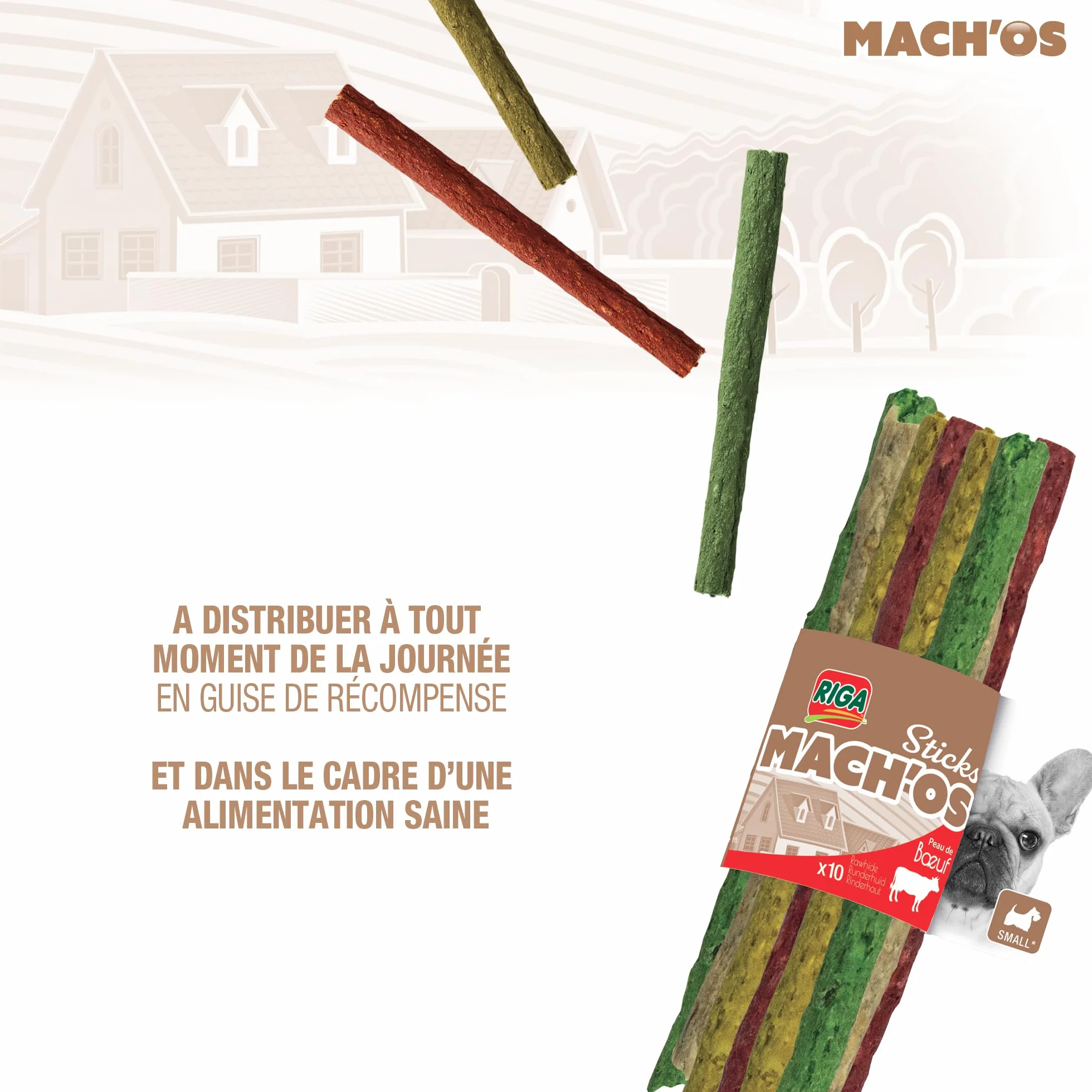 Riga - Mach'os - Bâtonnet Aggloméré - Friandise Chien - Peau De Buffle - Riche en Protéines - Hygiène Buccale - Mastication Et Récompense - pour Petit Chien - x 200