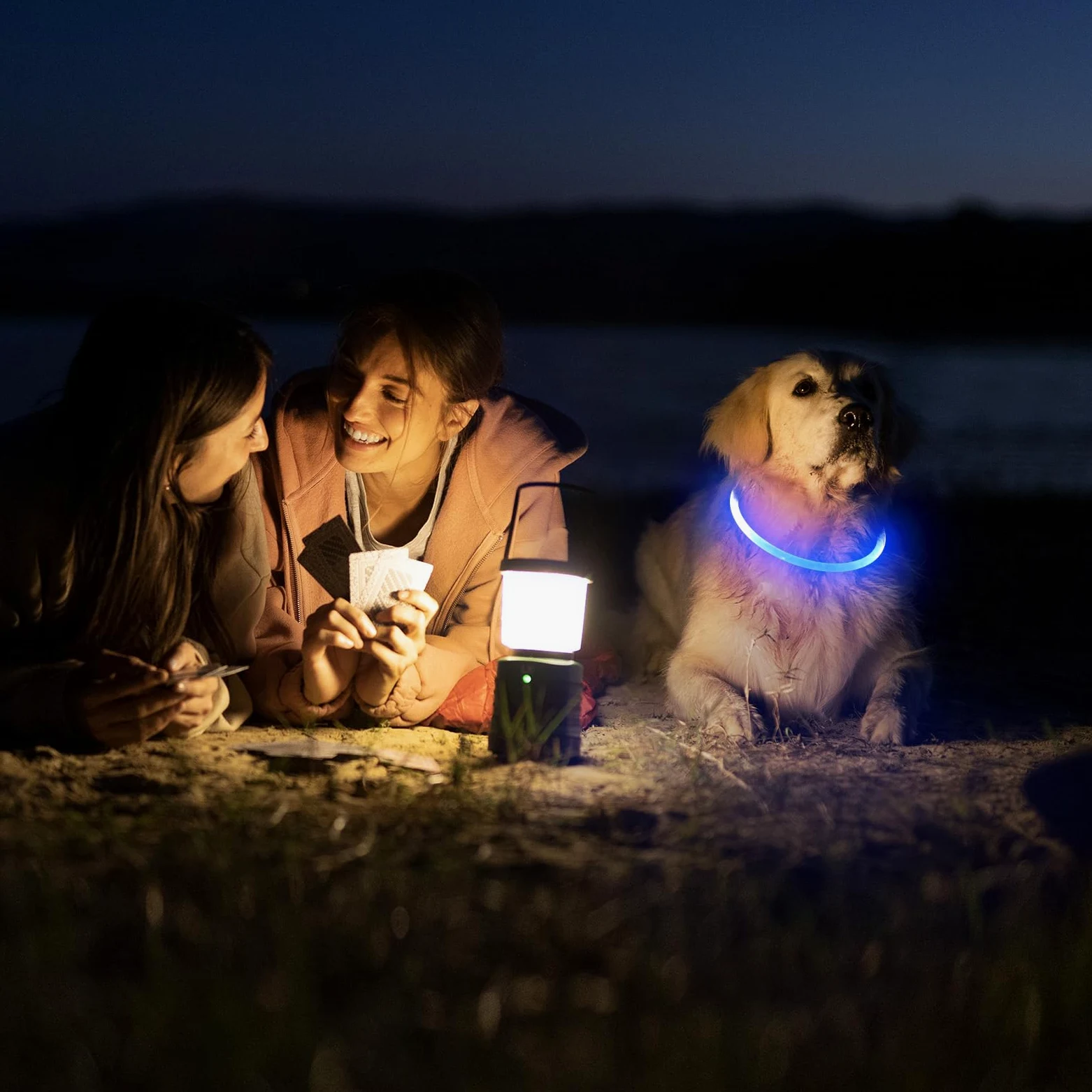Collier de Chien LED Light Up Collier de Chien Rechargeable USB étanche, Bande de Chien de Nuit avec 3 Modes Lumineux, Rend Votre Chien Visible, sûr et vu (Black, s)