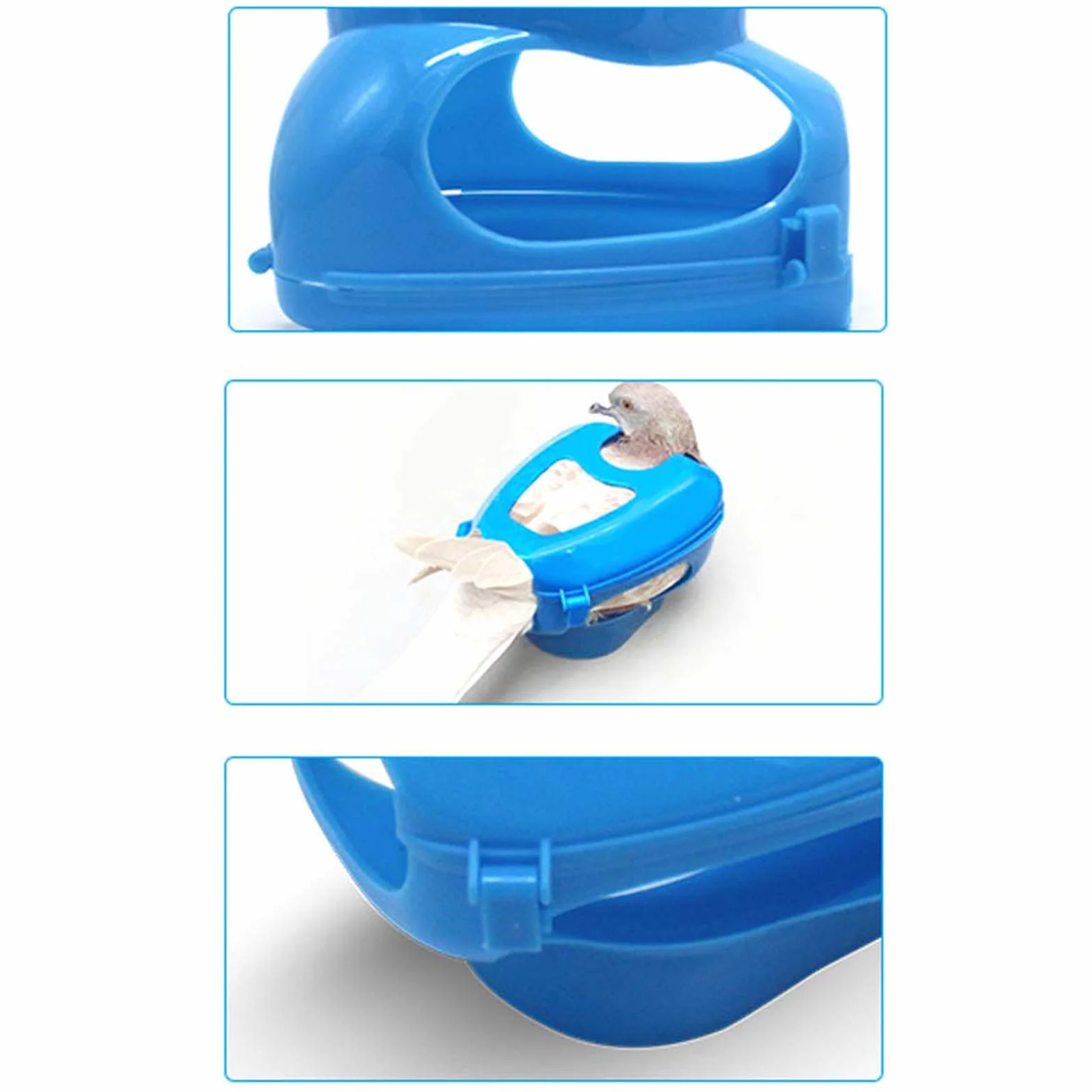 Porte-Pigeons Polyvalent Dove Fixateur d'injection de Vaccination Support Bleu