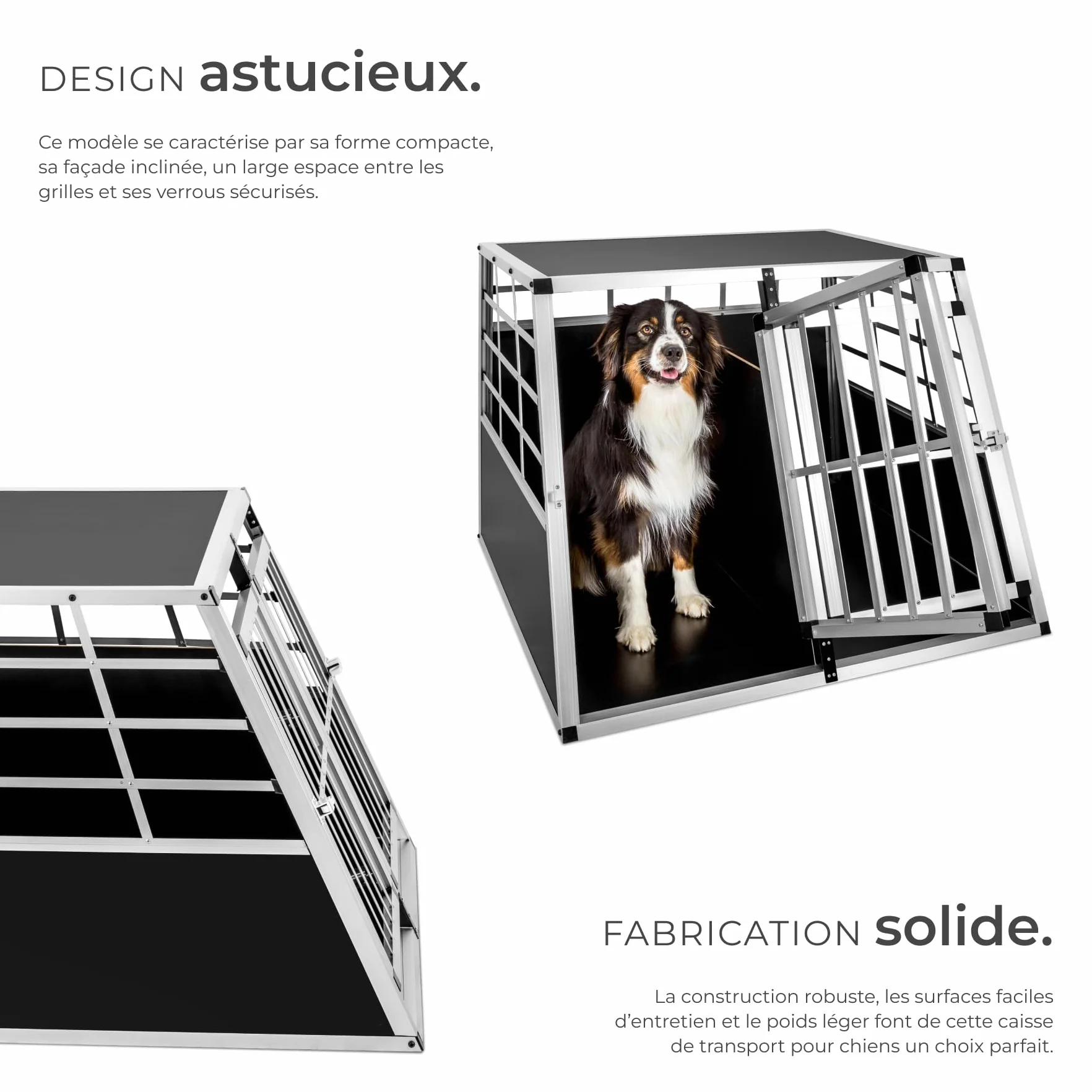 Tectake Double Cage de Transport pour Chien 97 x 90 x 69,5 cm