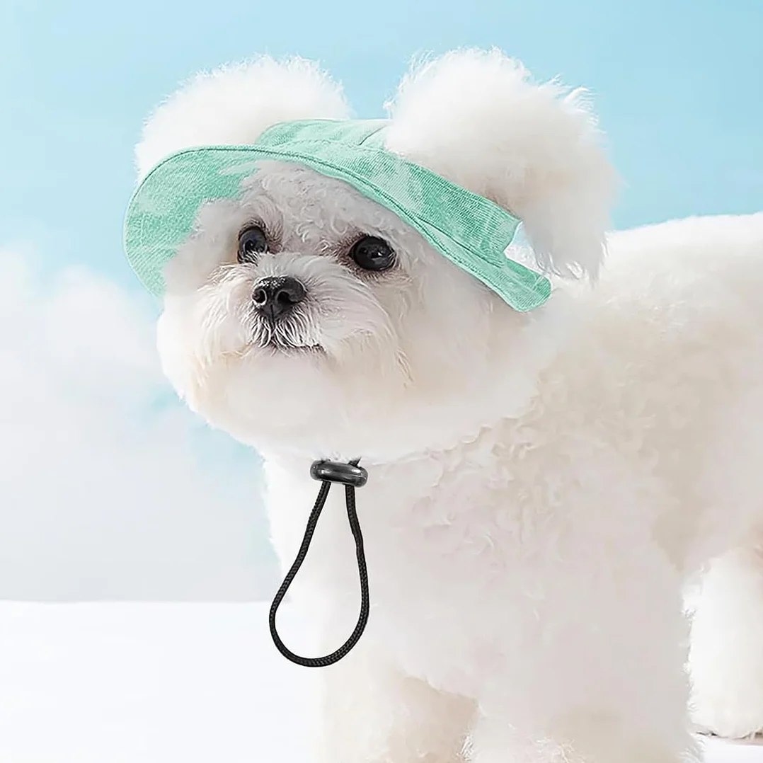 VisageVitalit Casquette pour Chien Baseball avec Trous Oreilles Petite Moyenne Grande Taille