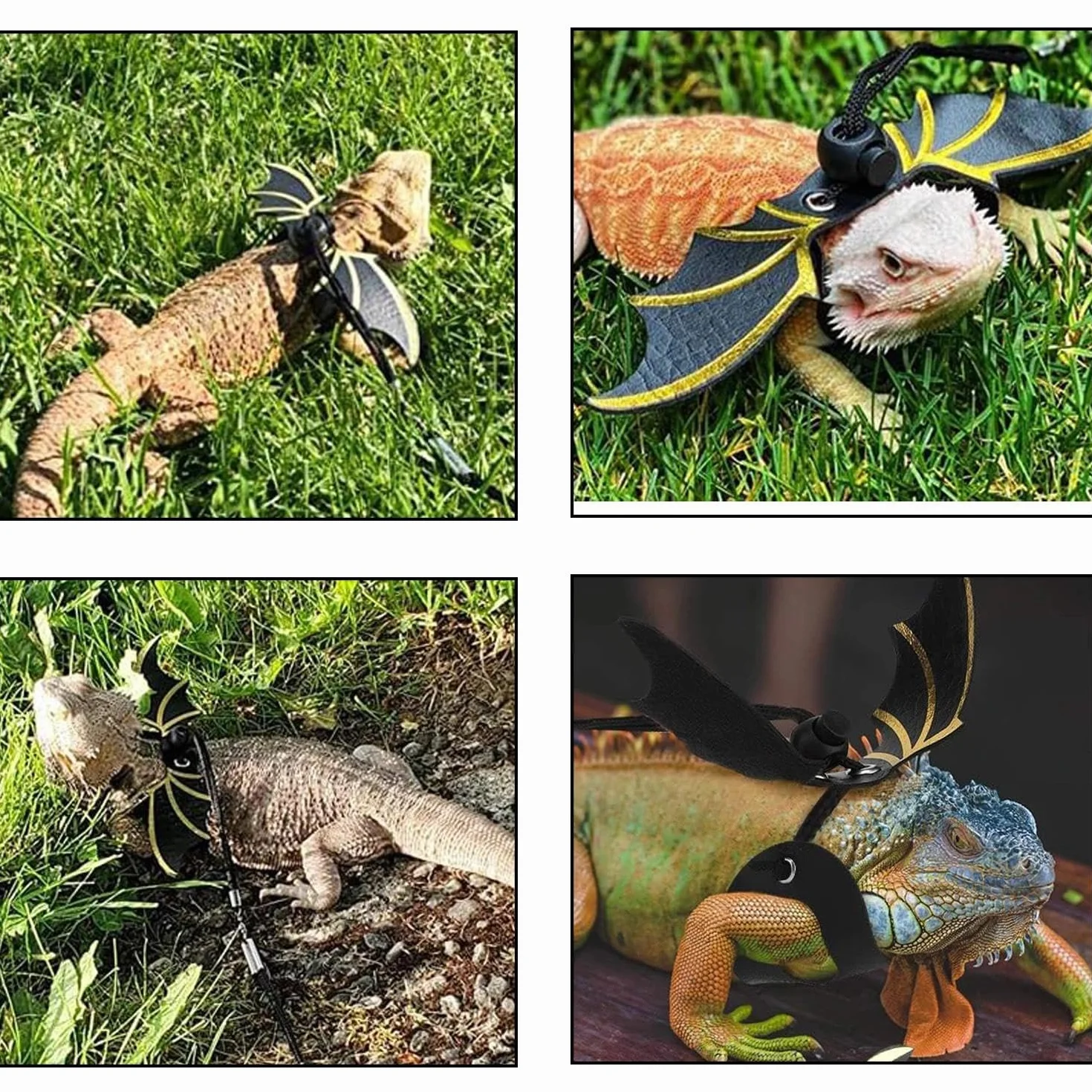 2 pièces Laisse Traction Aile Lézard, Laisse Lézards avec Aile, Harnais Cuir Souple Amphibiens, Harnais D'aile Cuir Reptile, pour Animaux Reptiles Petite, Moyenne et Grande Taille (Or, Argent)