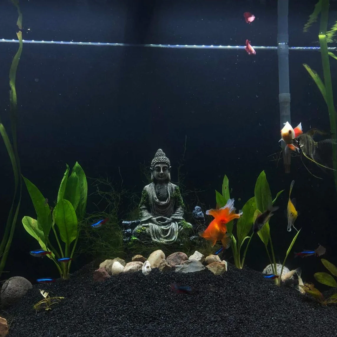 SLOCME Statue de Bouddha pour Aquarium Décoration Ornement