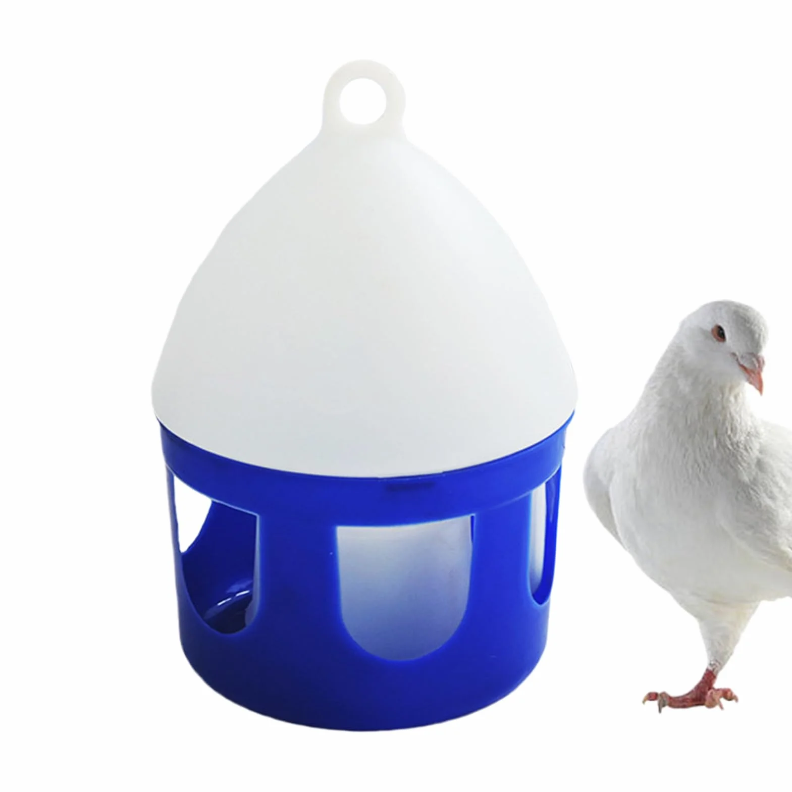 Abreuvoir pour Pigeons 2 litres Antifuite Amovible pour Oiseaux