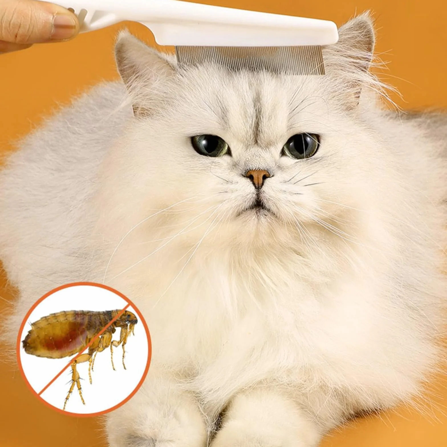 Peigne multifonction pour animaux de compagnie 4 peignes en plastique chats chiens anti-puces anti-poux