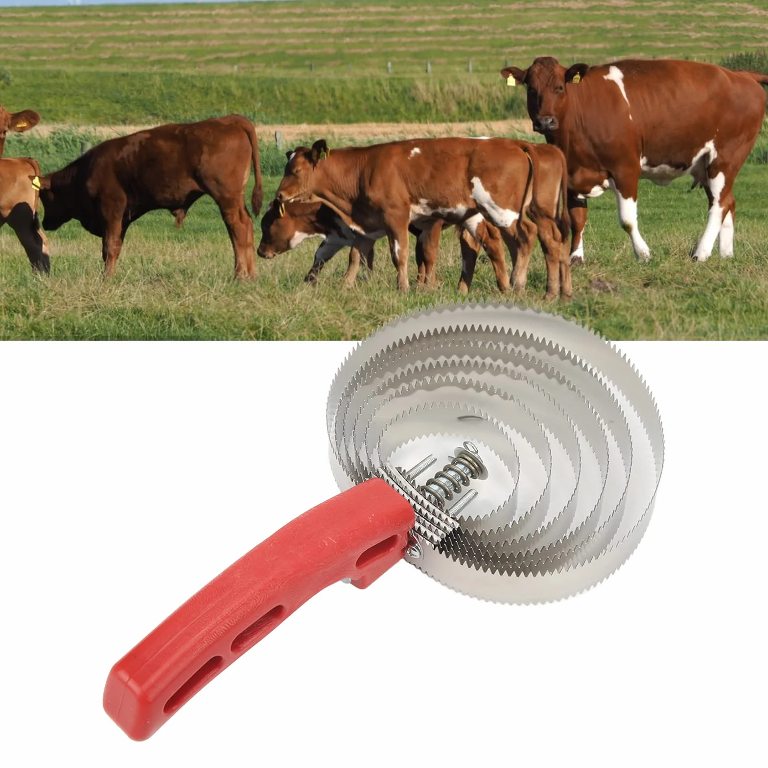 Curry Comb Peigne en Acier Inoxydable pour Chevaux, améliore l'expérience de Modification du rajeunissement des bovins, Un Traitement Doux, pour Les Animaux et Les Animaux, Moutons et bœuf
