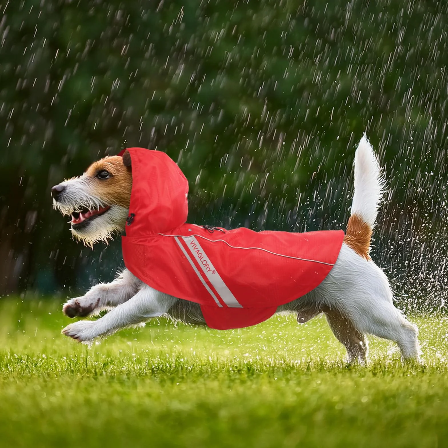 VIVAGLORY Wetoff Manteau de Pluie pour Chien, Veste Imperméable d'Hiver avec Protection Réfléchissante, XS, Rouge
