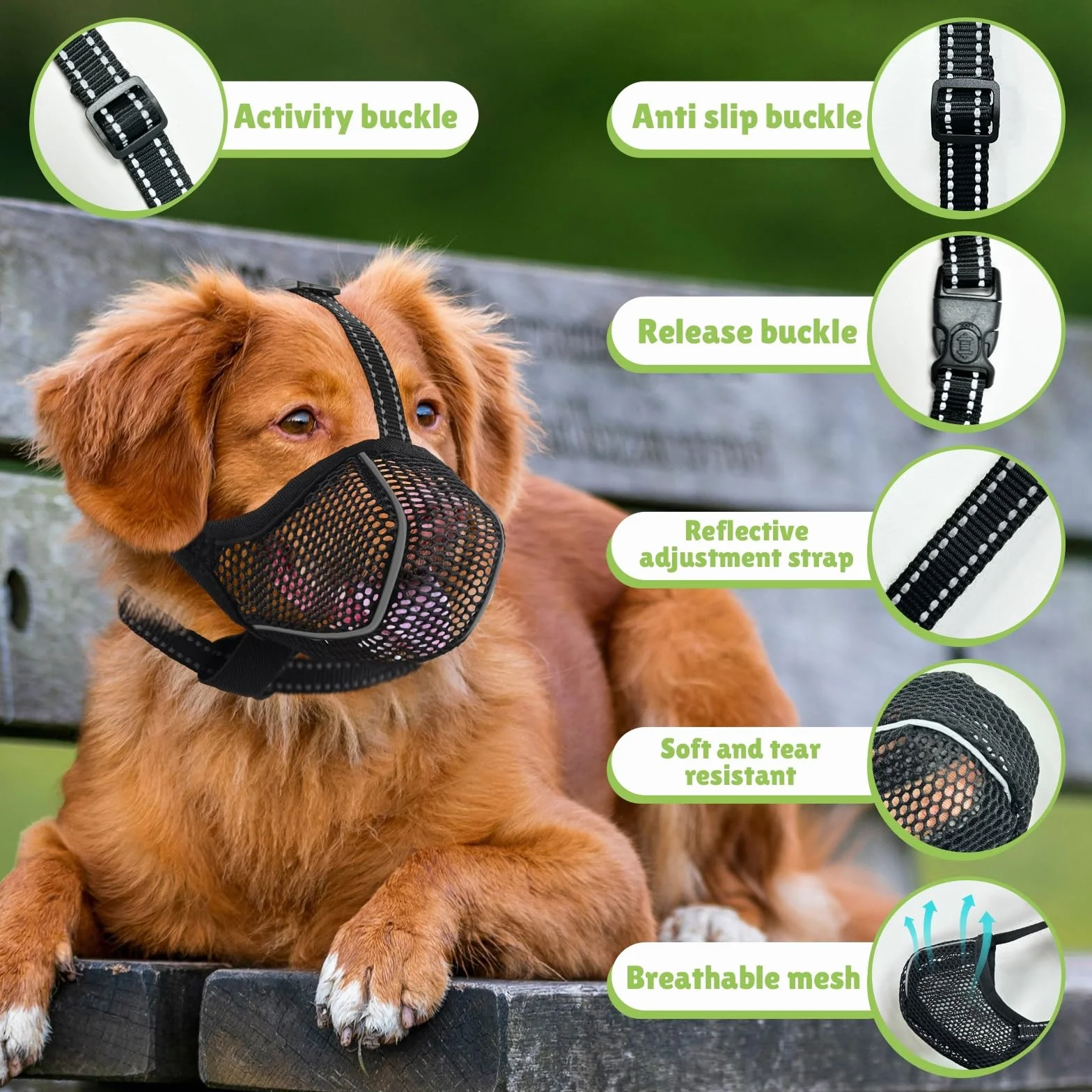 Muselières pour Chiens Anti-Grignotage, Colliers pour Chiens, Muselières Respirantes Réglables pour Animaux de Compagnie,Prévenir l'ingestion Accidentelle,Convient Animaux de Moyenne Taille(M)