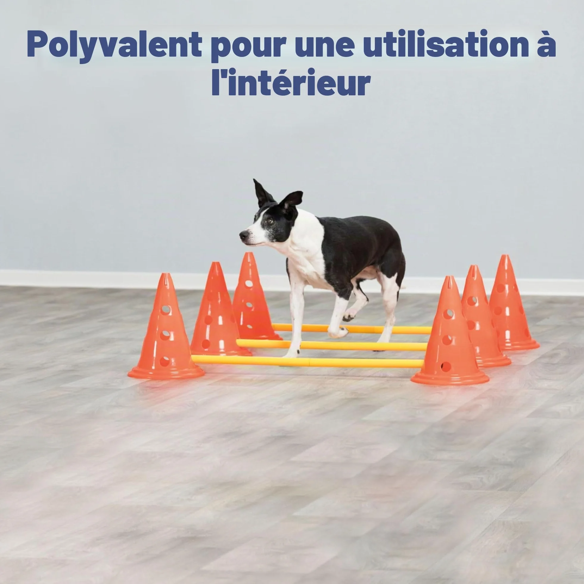 Trixie Set d’Obstacles à cônes - Accessoire d’entraînement résistant pour Agility Canine - ø 23 × 30 cm/78 cm Orange/Jaune, équipement de Sport canin pour la Maison