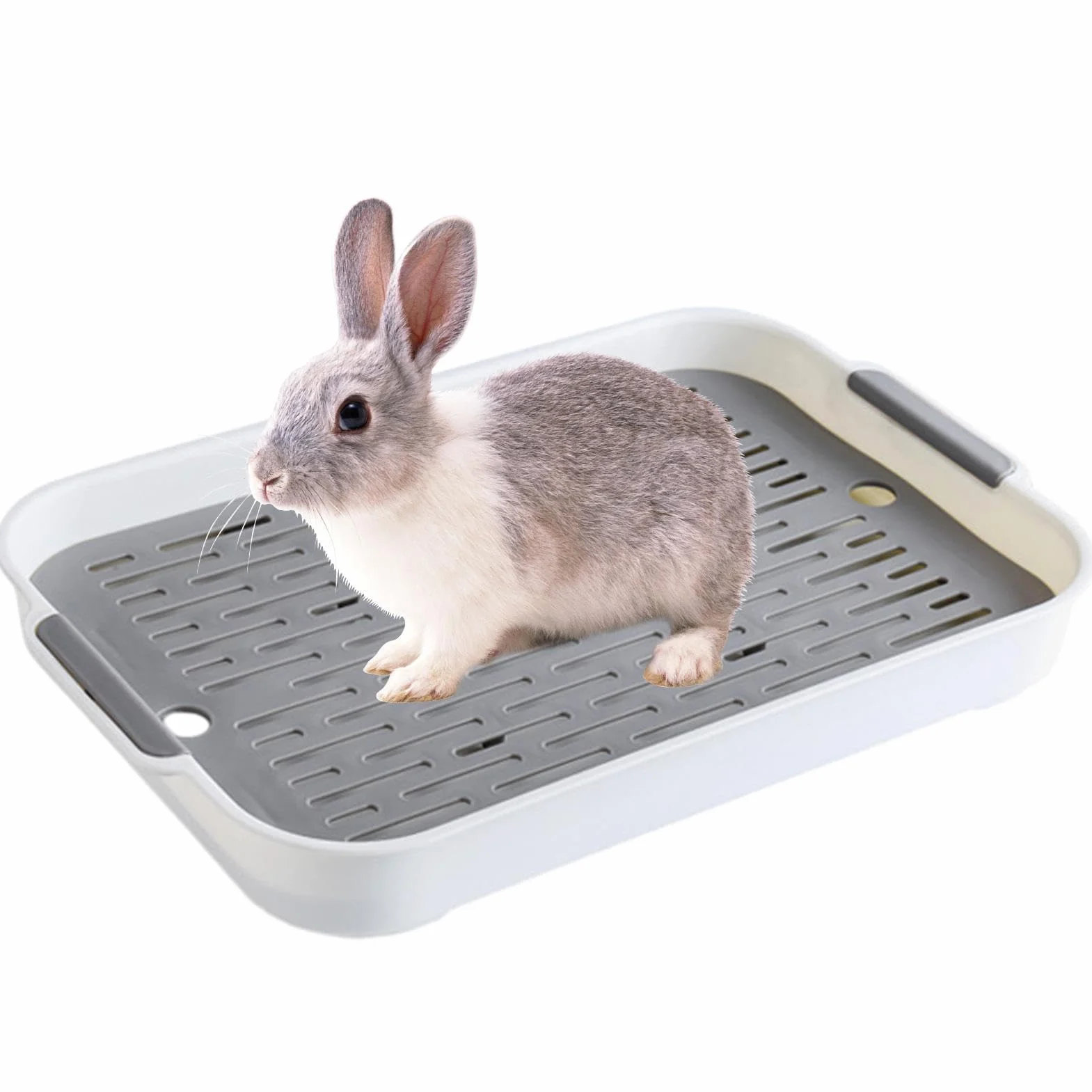 Bac À Litière pour Lapin avec Drainage, Toilettes en Cage pour Lapins