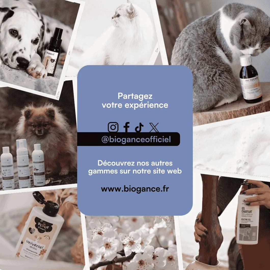 BIOGANCE - Lotion sans rinçage Chien (No Rinse)