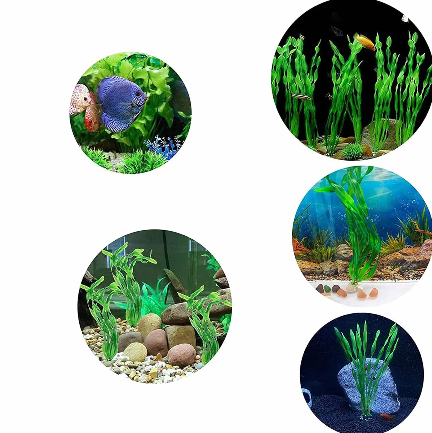 Lot de 5 Plantes Aquarium Artificielles, Base en Céramique, Décoration Poisson pour Aquarium Eau Douce et Eau de Mer