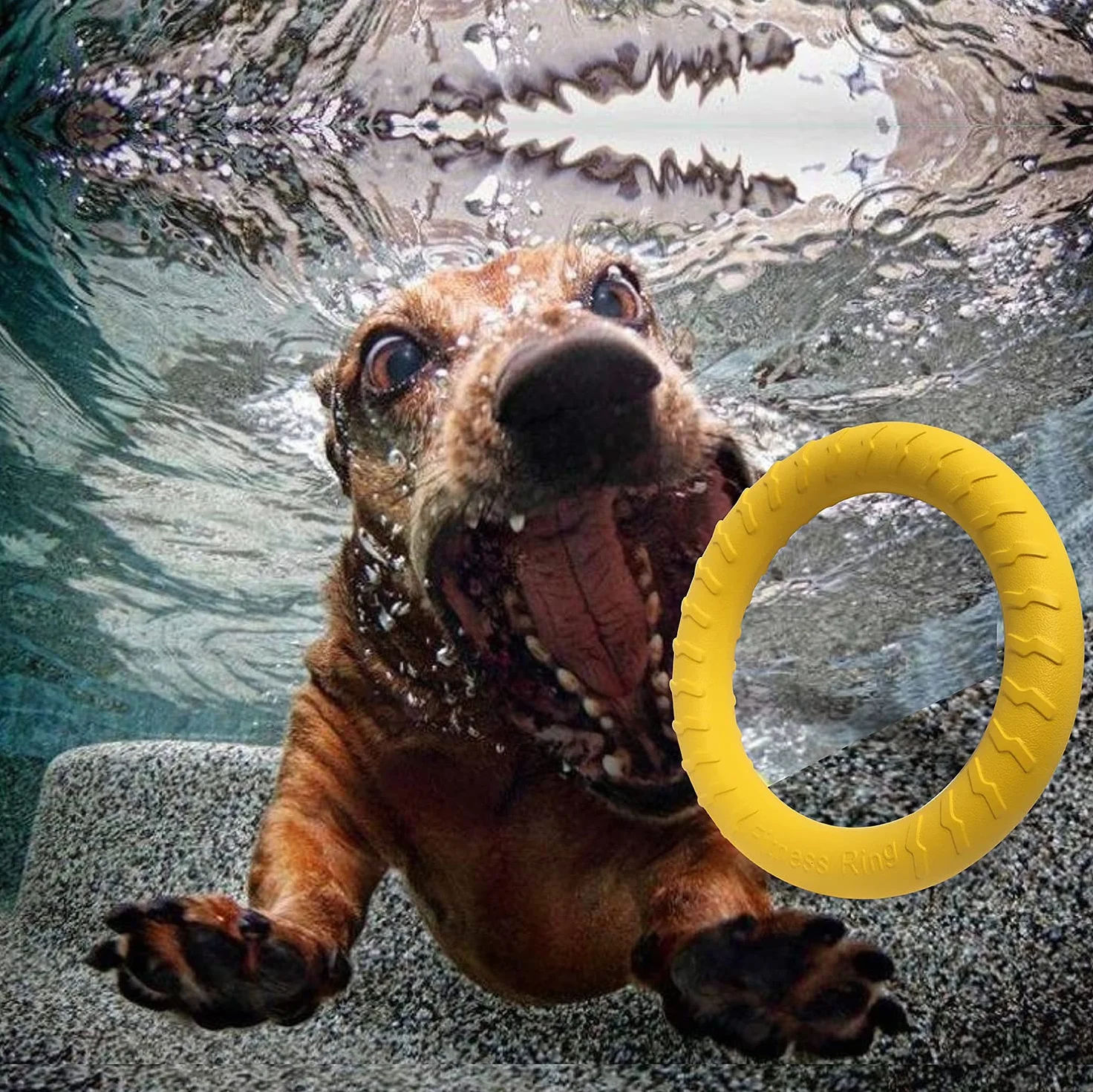 Anneau de Fitness Pour Chien, Anneau de Morsure de Chien, équipement d'exercice d'agilité pour chien, anneau d'entraînement interactif au tir à la corde pour petits et grands chiens (Jaune, Grande)