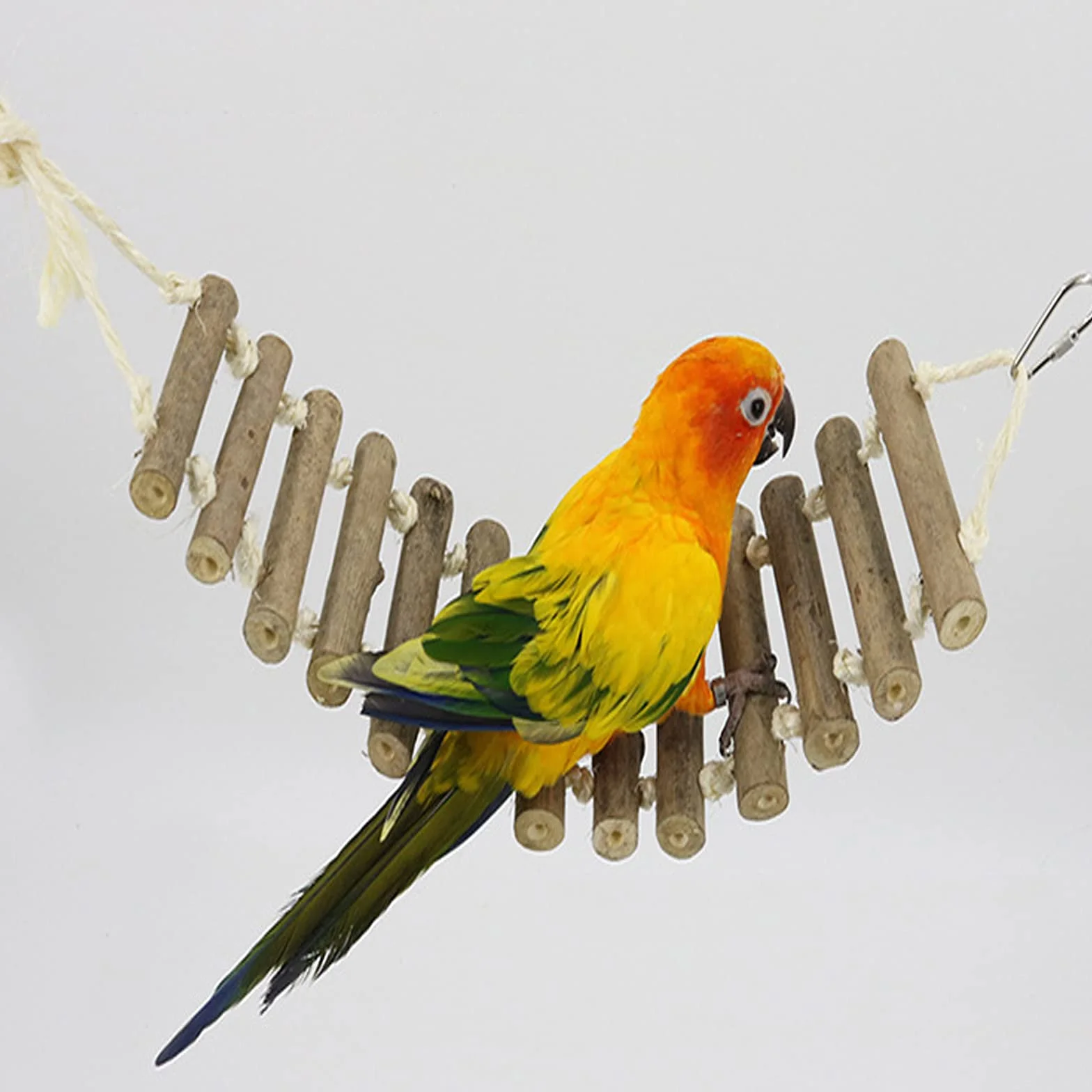 Echelle à Oiseaux Naturelle pour Perroquets Perruches Gris Africain