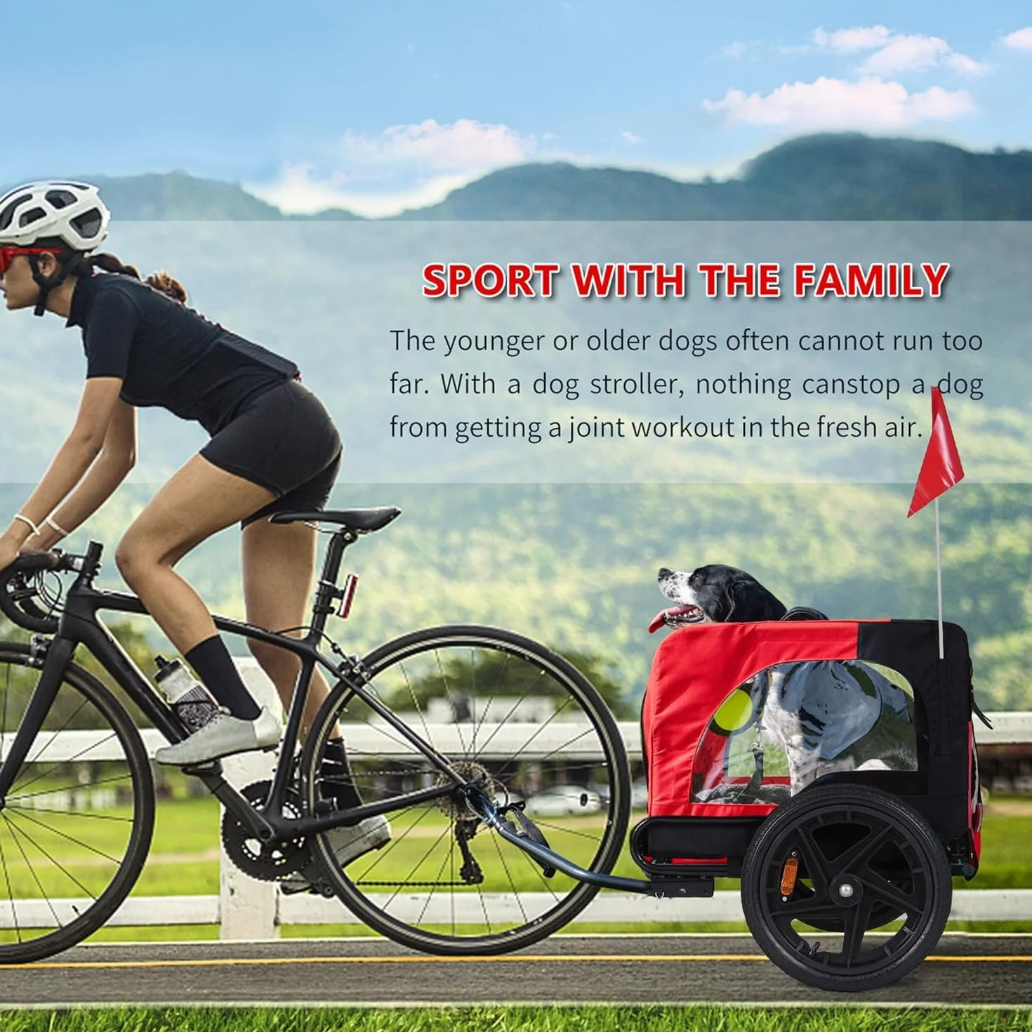 Sogesfurniture Remorque pour chien pour vélo pliable toile Oxford 600D avec embrayage