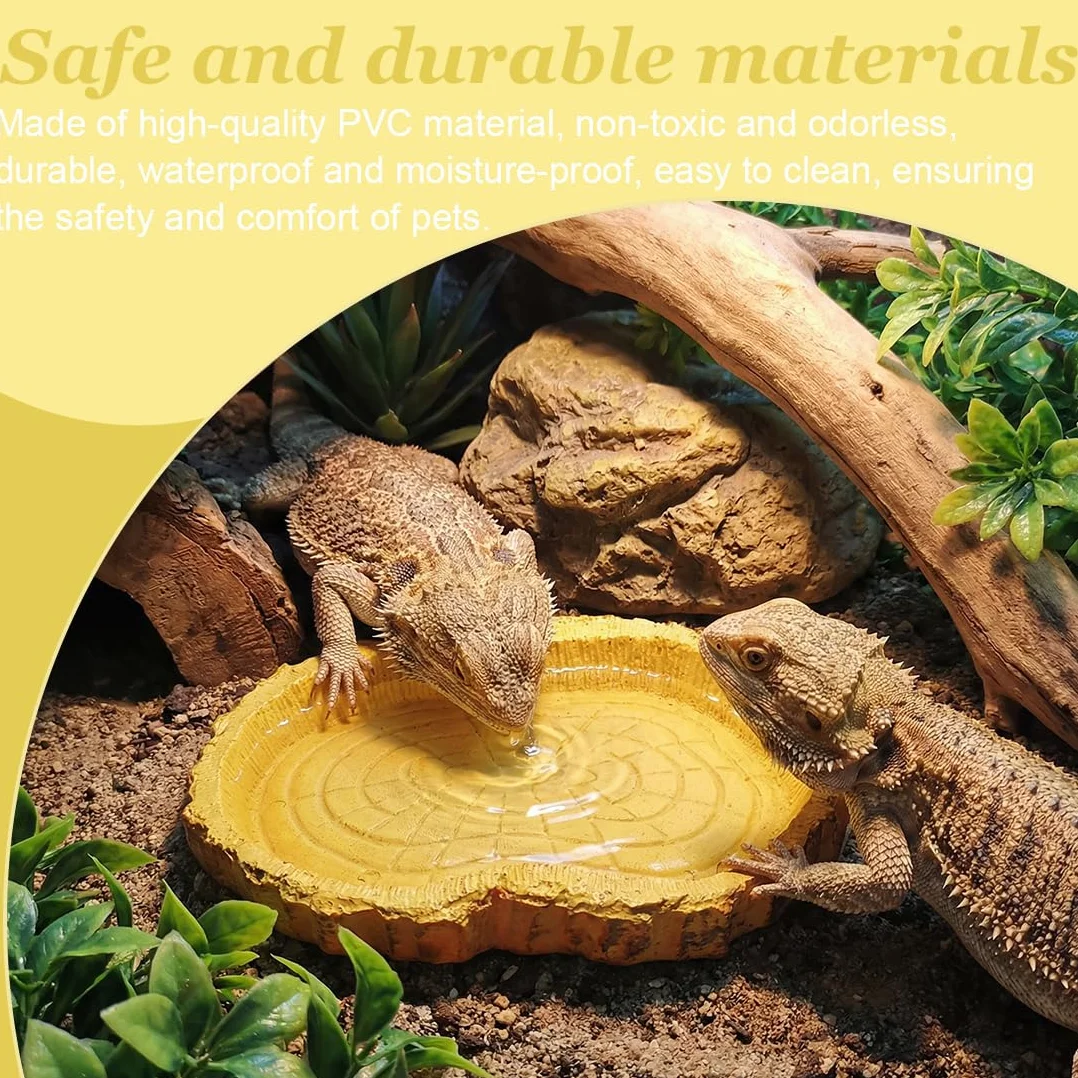 Bol d'eau Terrarium pour Reptiles, Écuelle Nourriture et Eau pour Tortue Serpent Gecko
