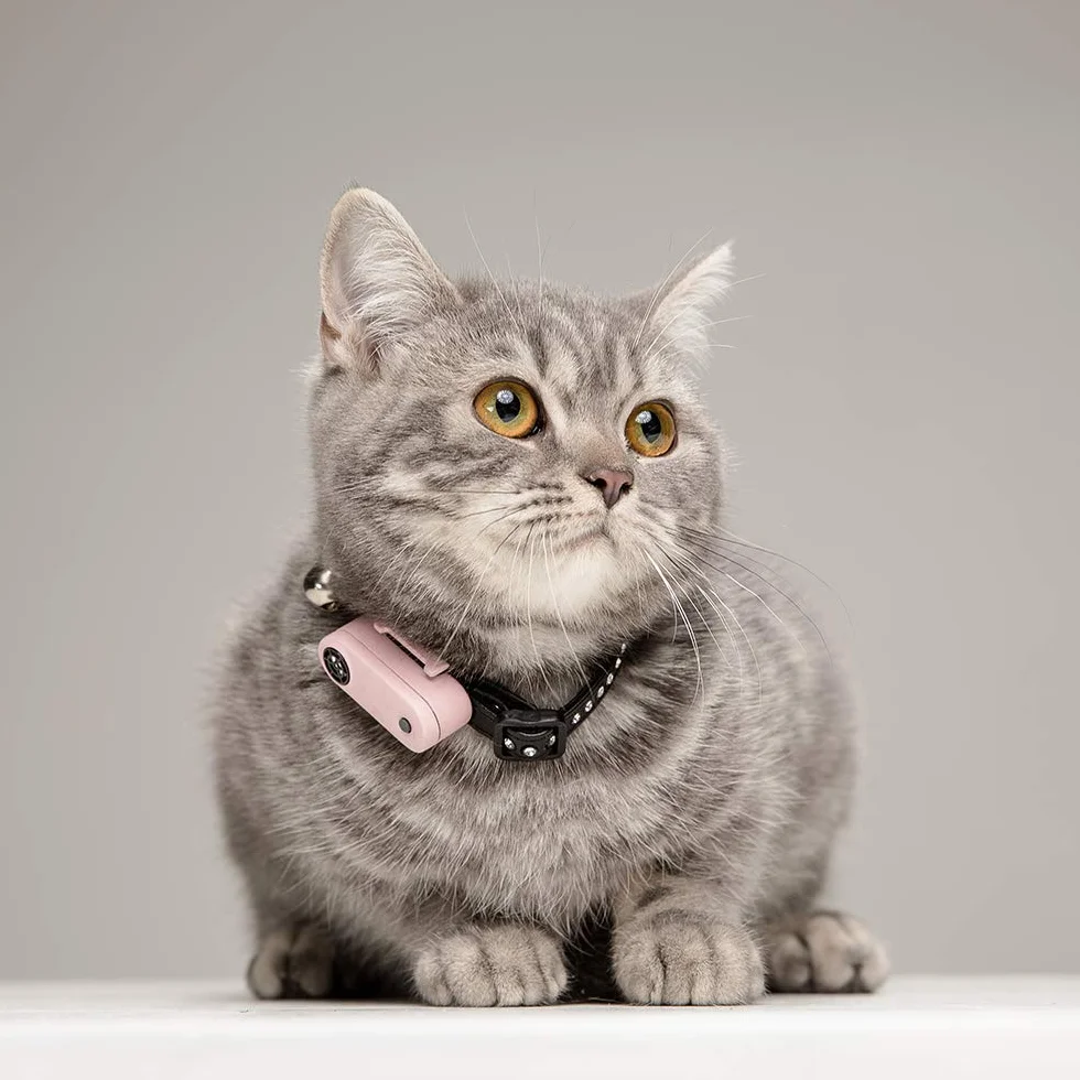 Tickless Mini Cat Répulsif Rechargeable Ultrason Anti-tiques Puces Or Rose