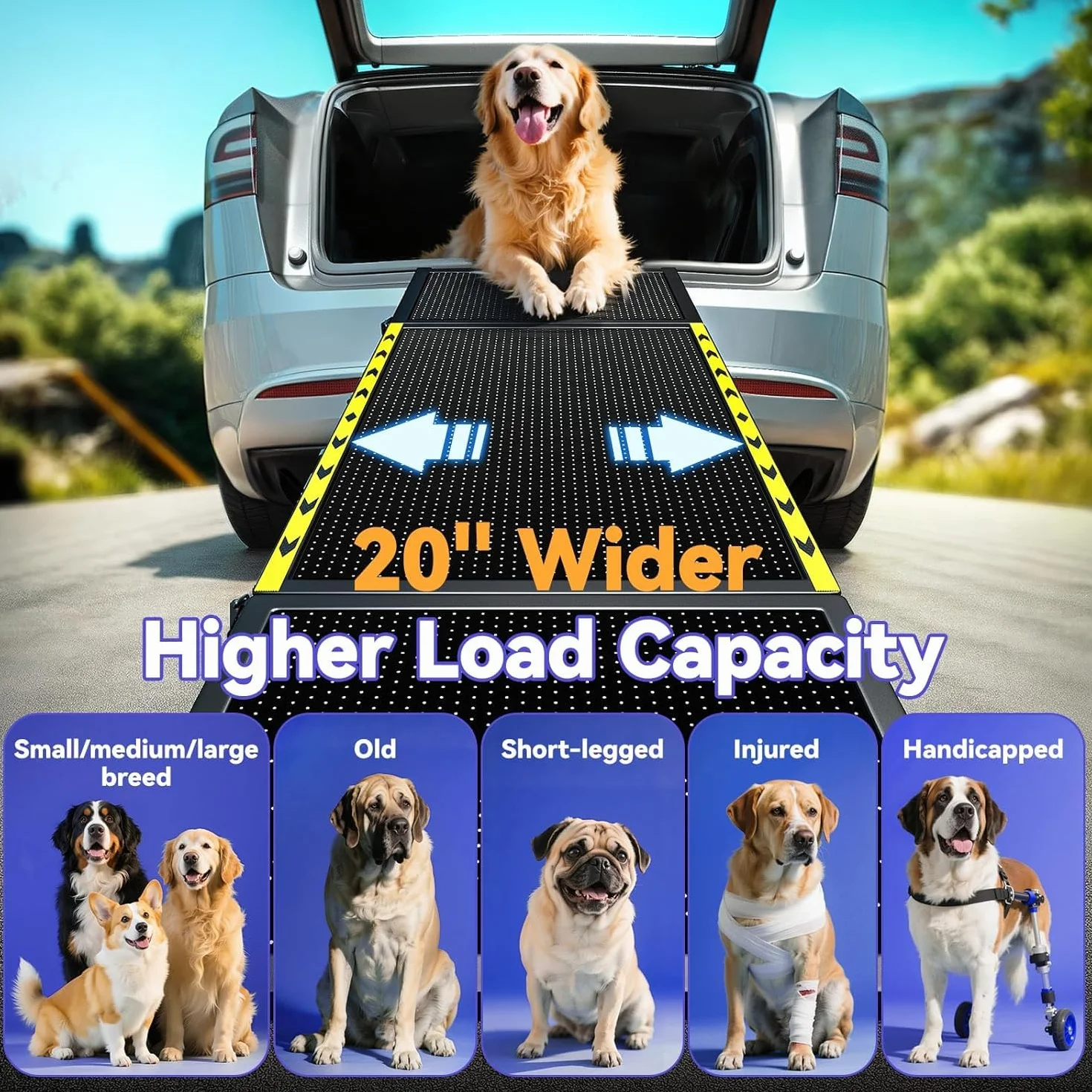Rampe pour chien de 170,7 cm de long et 50,8 cm de large pour voiture – Rampe portable extra large pour chiens de taille moyenne et grande avec surface de tapis antidérapante, escalier pour voiture