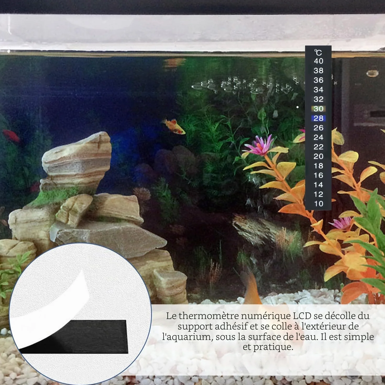 Autocollants de température de l'eau pour aquarium - Thermomètre numérique Lot de 4 - Pour tortues, reptiles et poissons d'ornement (noir)