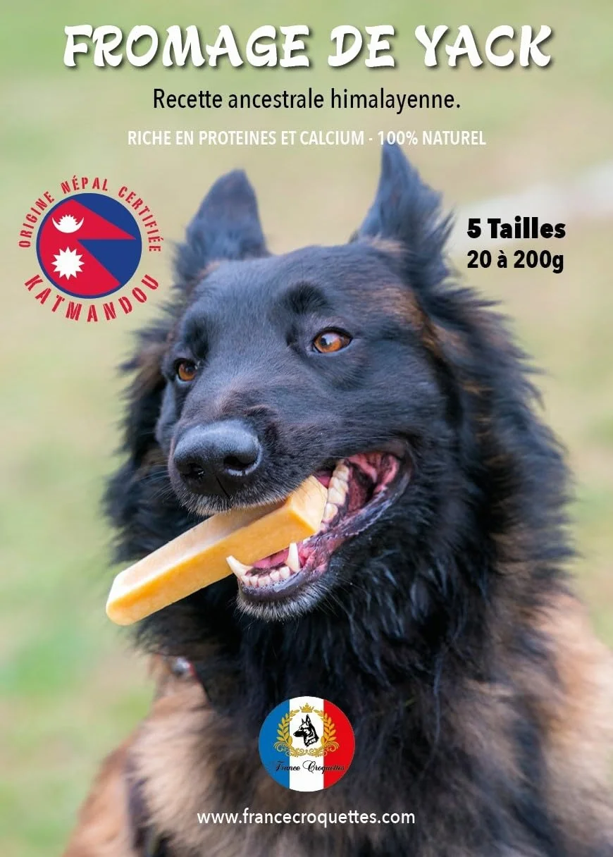 Fromage de Yak L 100-120g pour Chien Moins de 20kg – Friandise Naturelle à Mâcher – Fabriqué au Népal