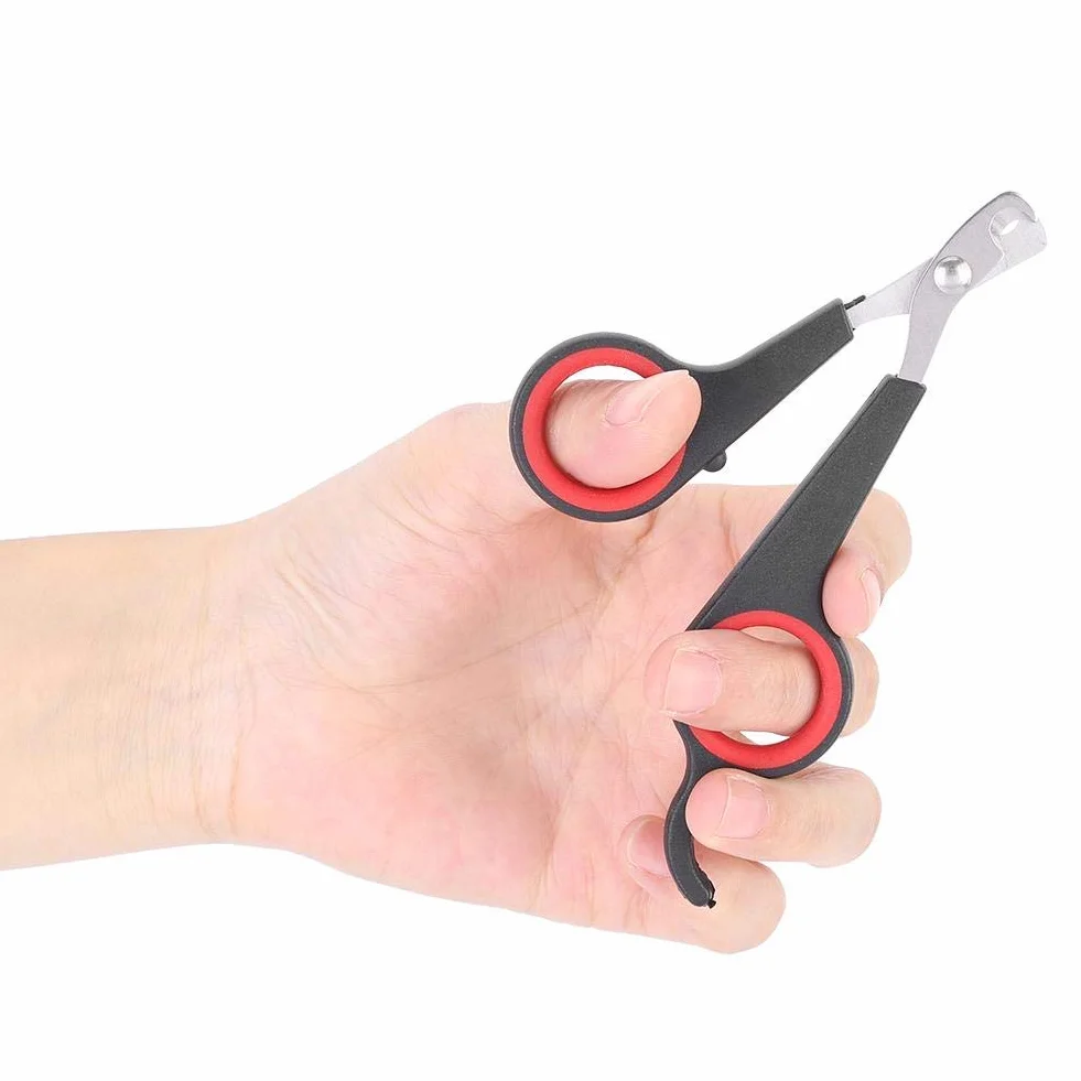 GOTOTOP Coupe-ongles pour animaux de compagnie petits animaux oiseaux perroquets chatons lapins outil de toilettage