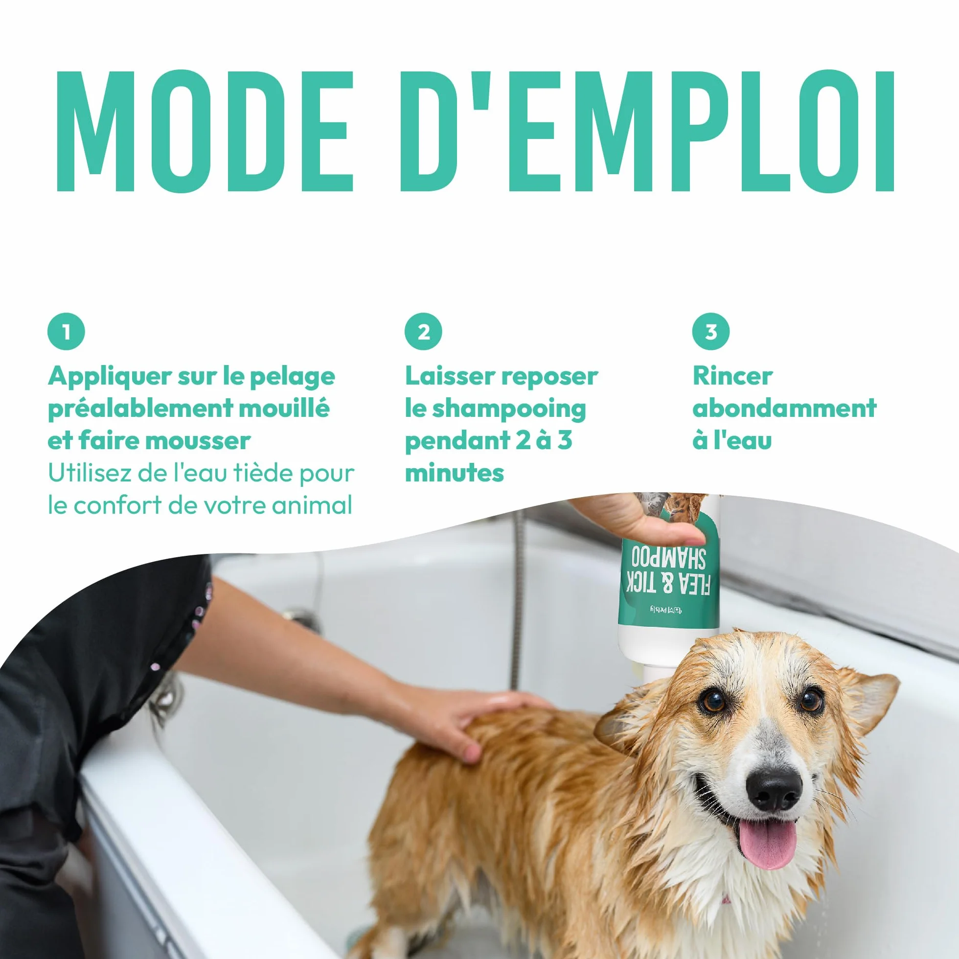 Petsly® Shampoing Anti Puces Chien Chat Chevaux -500ml- Élimine Puces & Tiques - pH Équilibré Peau Sensible, Nettoie, Apaise & Protège - Aloe Vera, Géraniol, Thé Vert, Camomile - Fabriqué en Allemagne