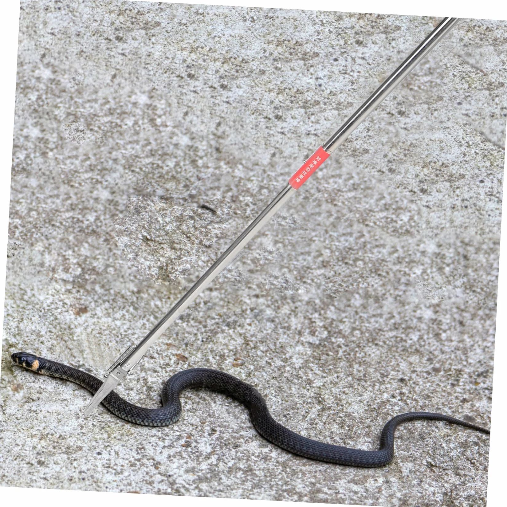 Pinces à Serpents en Acier Inoxydable Antidérapantes Pliables Outil Multifonctionnel pour Jardin