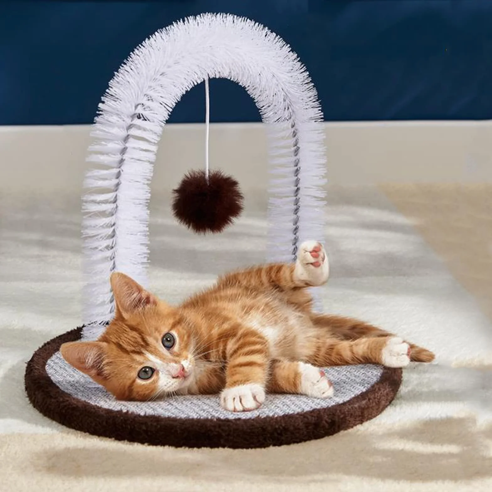 Brosse à poils de visage pour chat, gratte-dos, masseur durable pour chatons