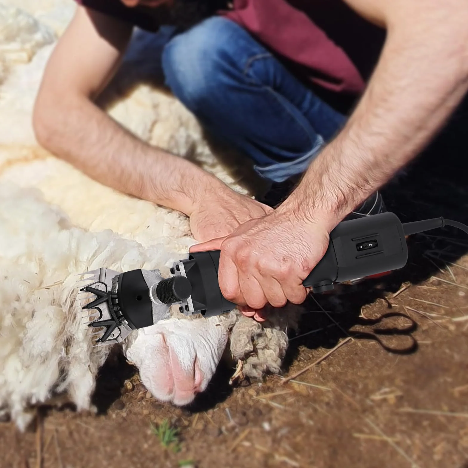 Tondeuse électrique pour moutons 350 W 3600 tr/min 220 V