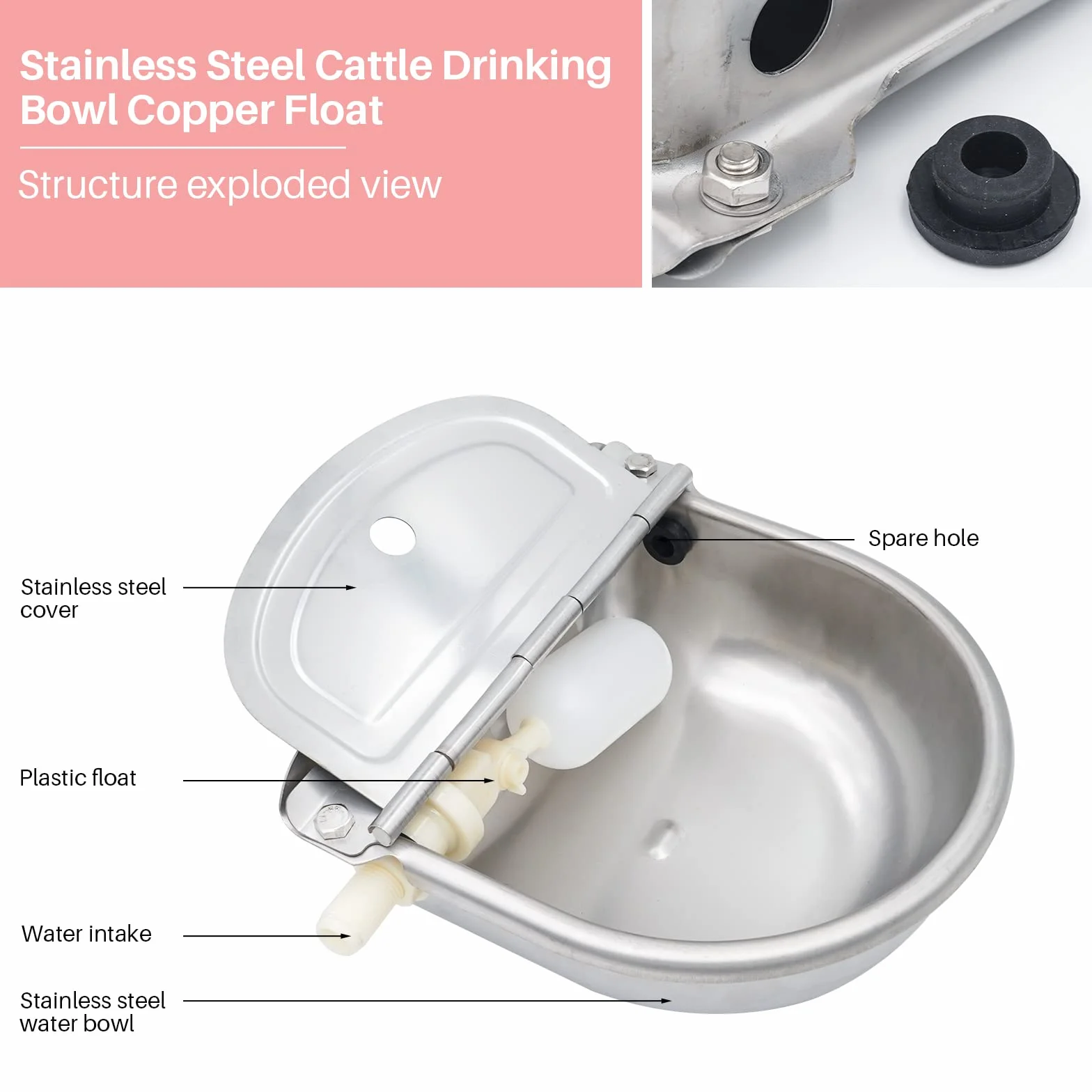 Abreuvoir Automatique en Acier Inoxydable pour Chevaux, Bovins avec 2 Flotteurs