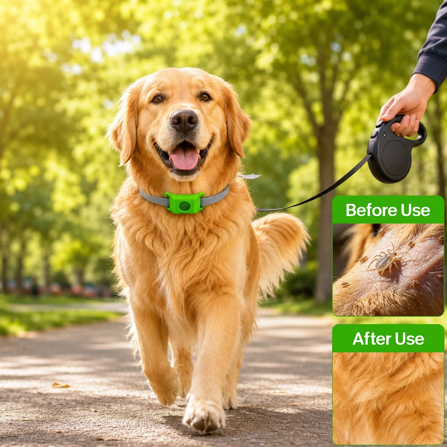 Collier Anti Puce et Tique Naturel pour Chien ZVD Pets, Répulsif Huiles Essentielles avec 2 Capsules Remplaçables, Compatible AirTag (Noir)