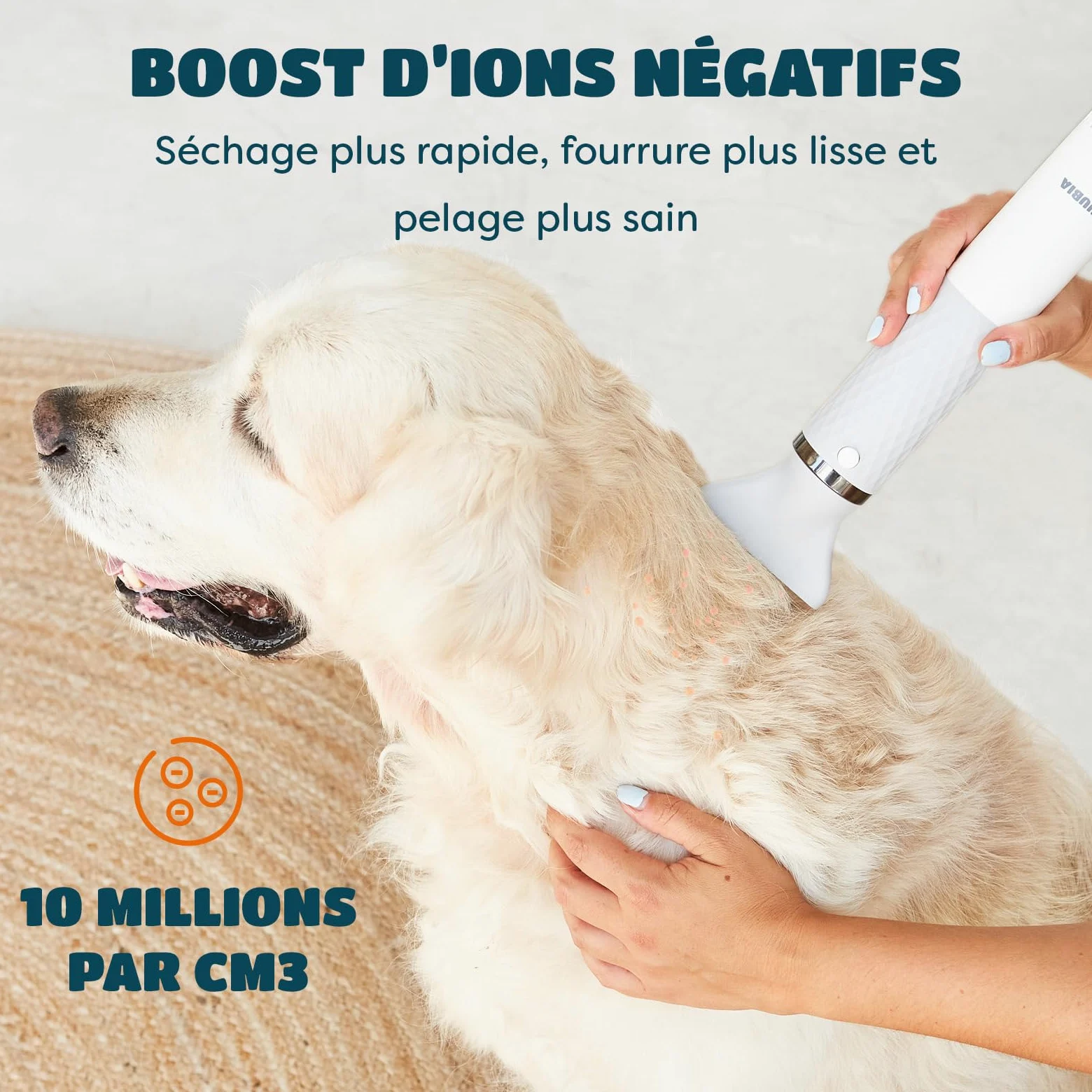 KUUBIA Séchoir 5 en 1 Pour Chien et Chat | Pulseur Avec Brosse Slicker | Sèche Poils Puissant 900 W | Portable, Silencieux, Ions Négatifs, NTC