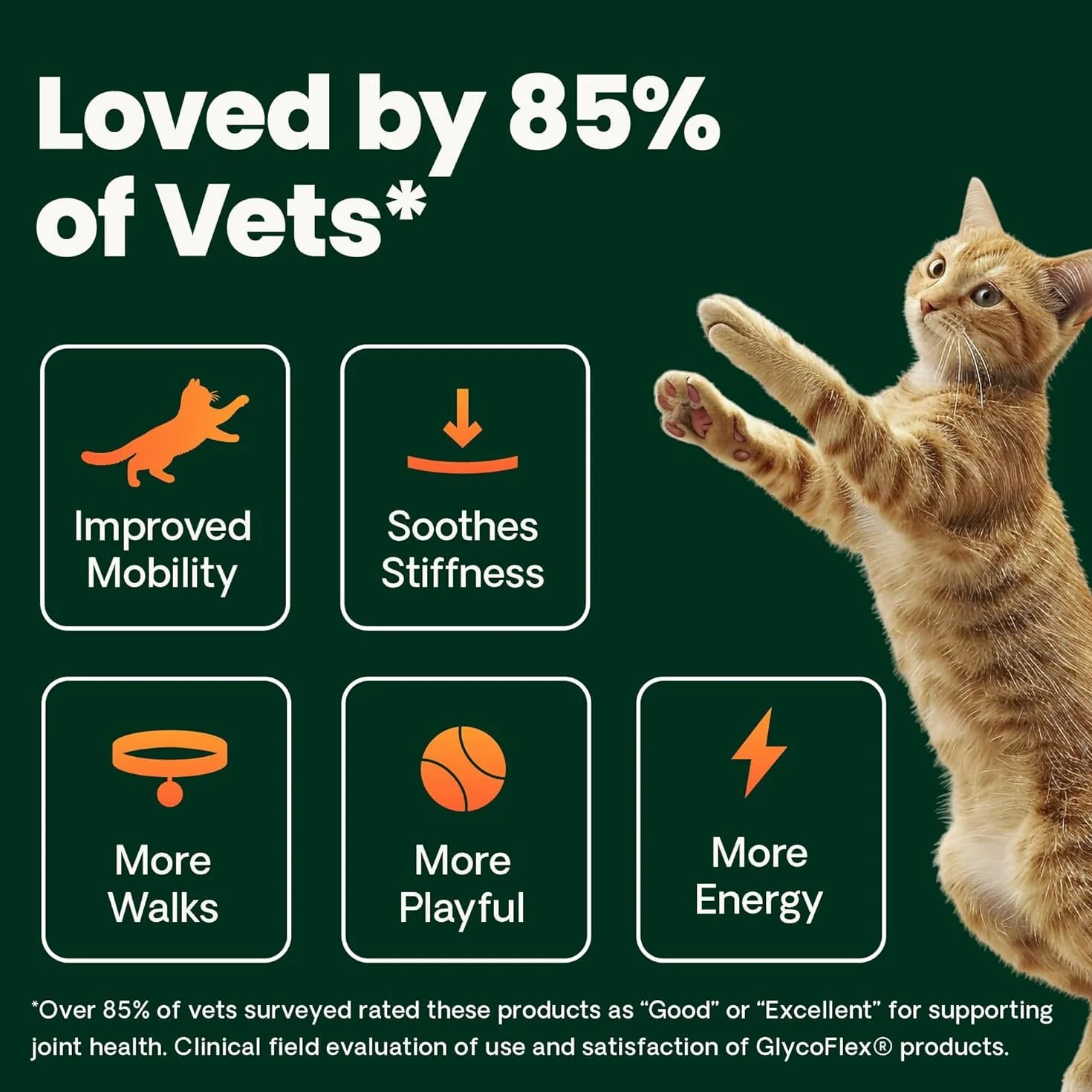 Vetri-Science Laboratories Glyco Flex 3 Complément Alimentaire pour Chats Hanche et Articulation