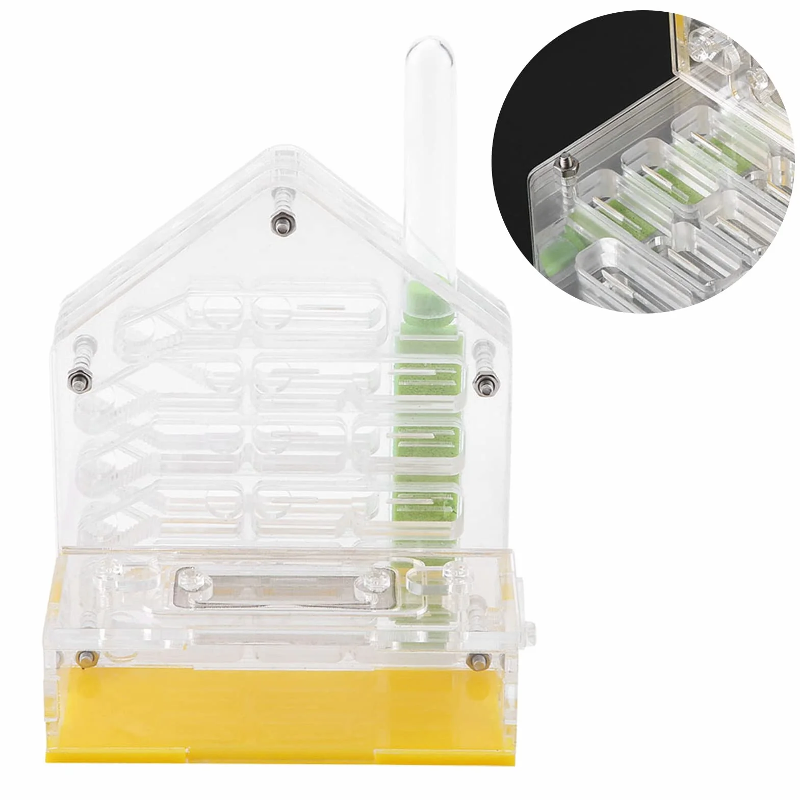 Formicarium Nourriture pour Fourmis 12×11×8 Acrylic Farm The Farm is Alive