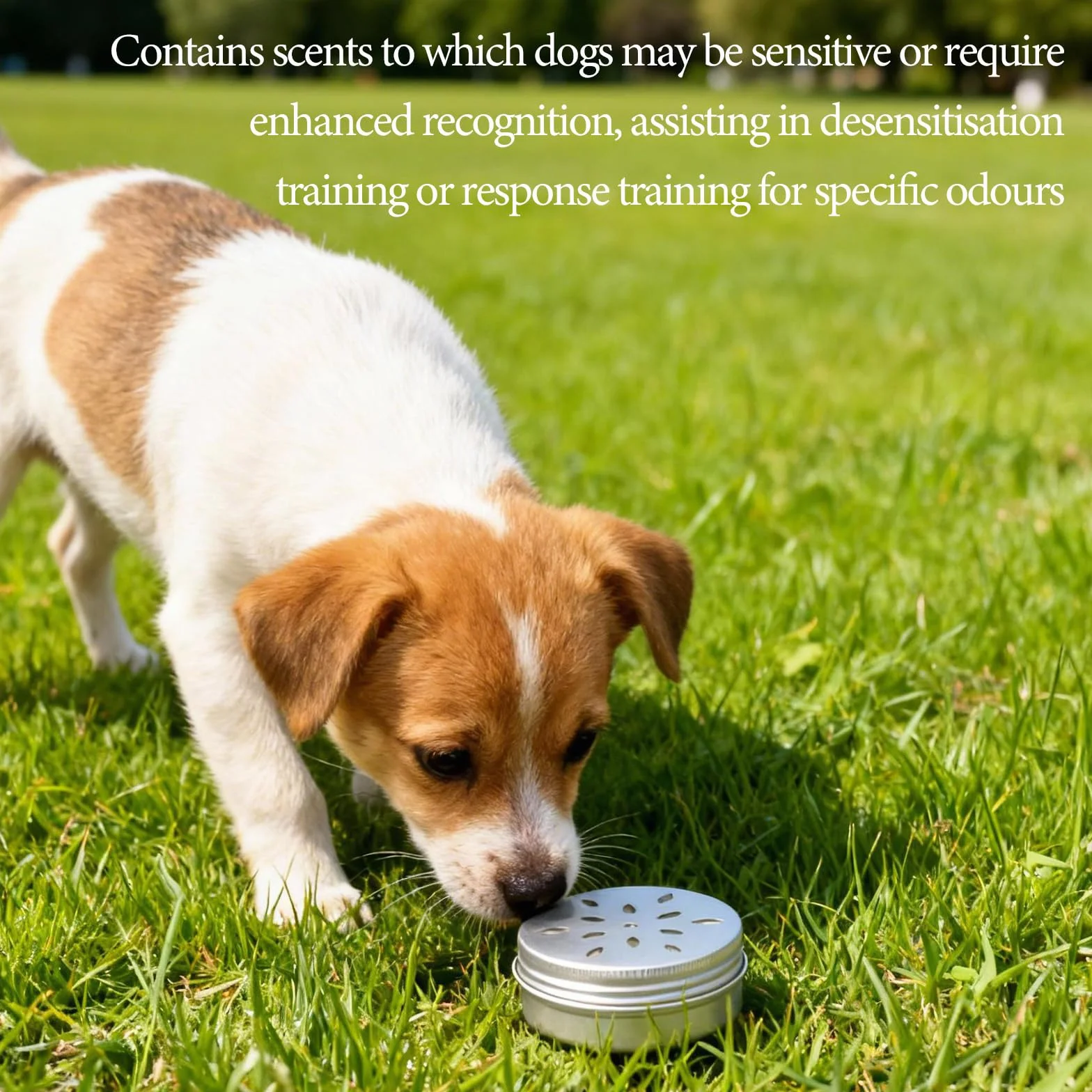 Parfum Chien en Aluminium 60 ML Canettes Lot de 10 avec Ventilation pour l'Entraînement Olfactif