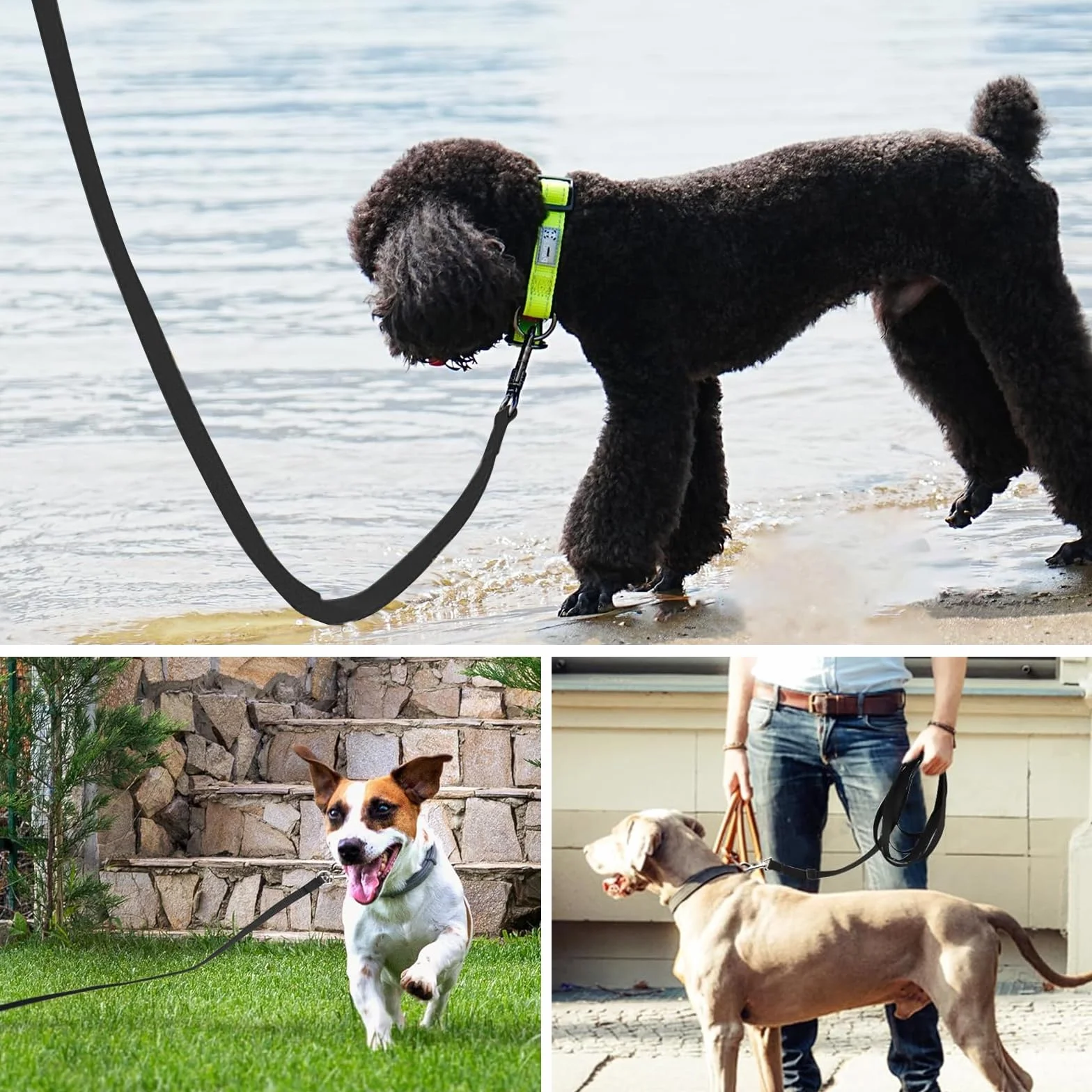 Lunghina Chien Laisse d'entraînement pour Chiens de Toutes Tailles, Longueurs jusqu'à 10 mètres, idéale pour l'entraînement et l'utilisation en Plein air