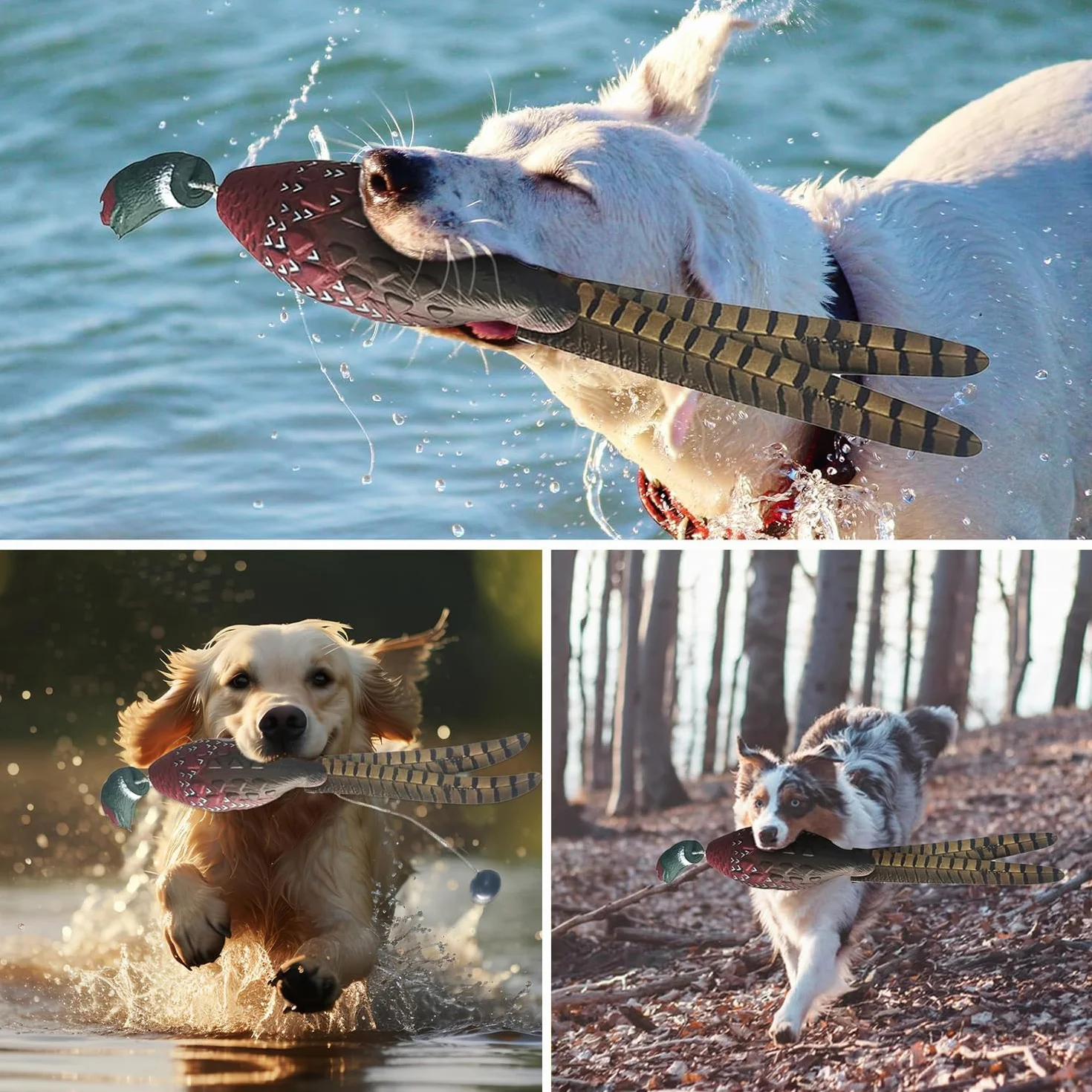 Dummy d'entraînement pour Chien Canard Colvert Chasse Chiots