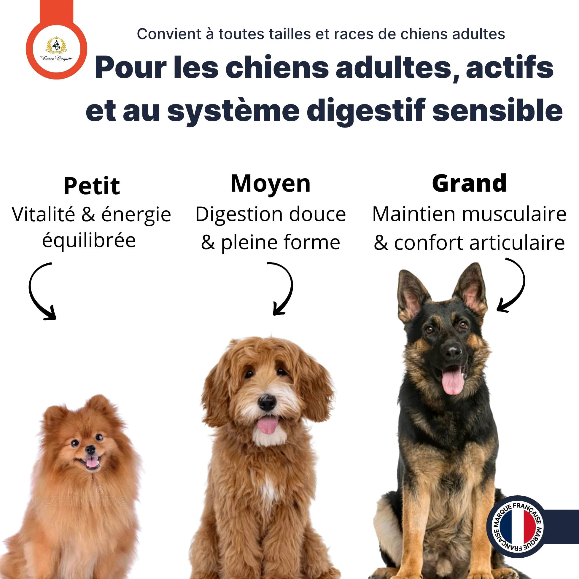 Croquettes hypoallergéniques Chien Adulte France Croquettes Royal Agneau – sans blé, hautement digestes, Riches en protéines, avec prébiotiques & probiotiques pour Flore intestinale Saine - 12KG