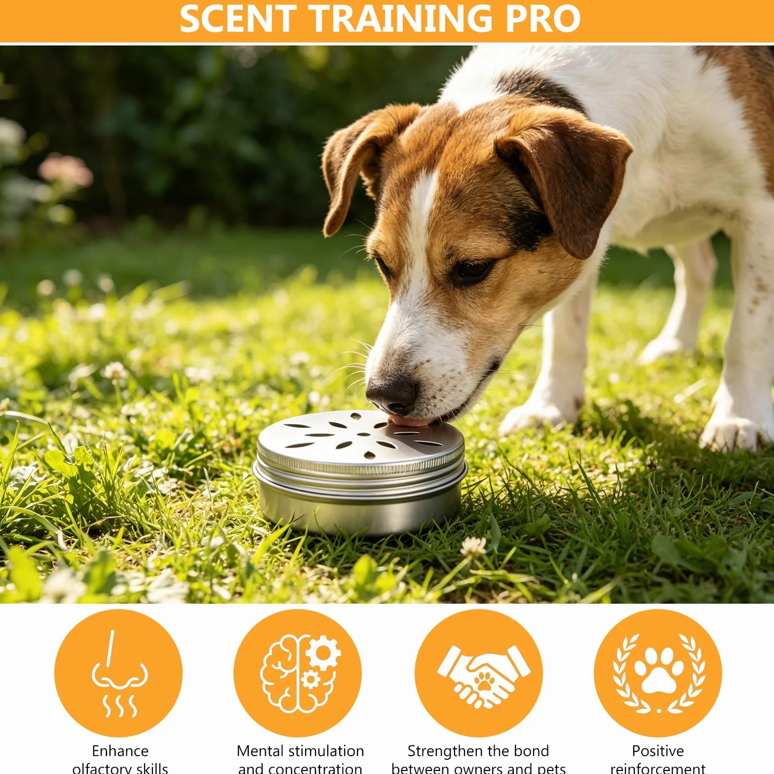Récipients à Odeur 60 ML pour Chiens de Détection, Boîte d'Entraînement Olfactif, Accessoires de Dressage Canin