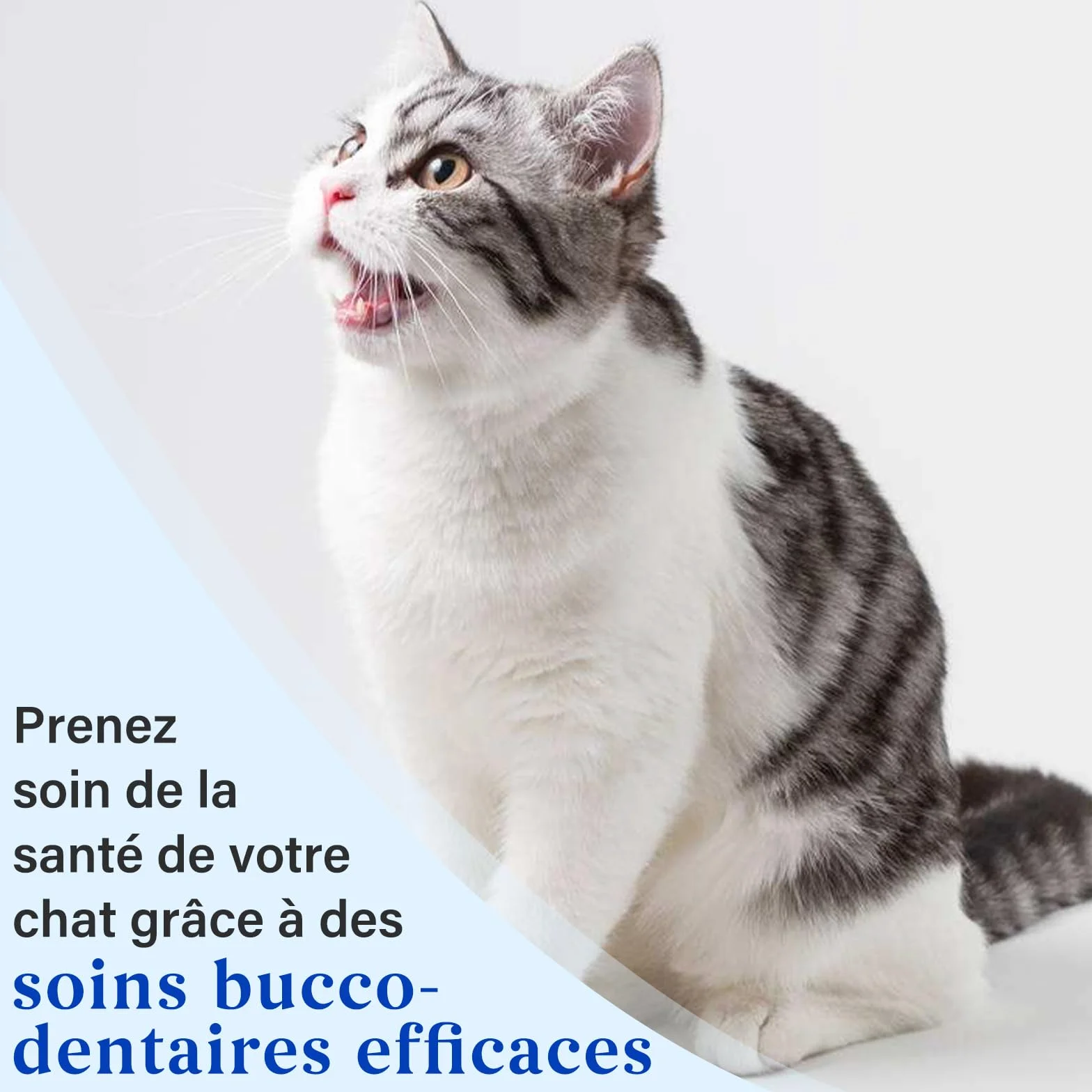 Dentifrice Chat Goût Thon Brosse à Doigts Brosse à Dents Poils Souples 30g