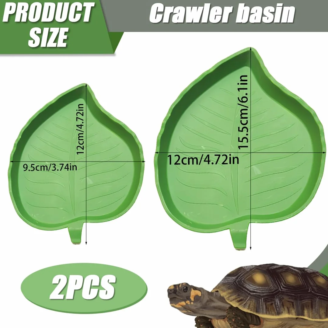 Terrarium Tortue Terrestre 2 Pièces Bols Eau Nourriture Reptiles Vert Forme Mangue