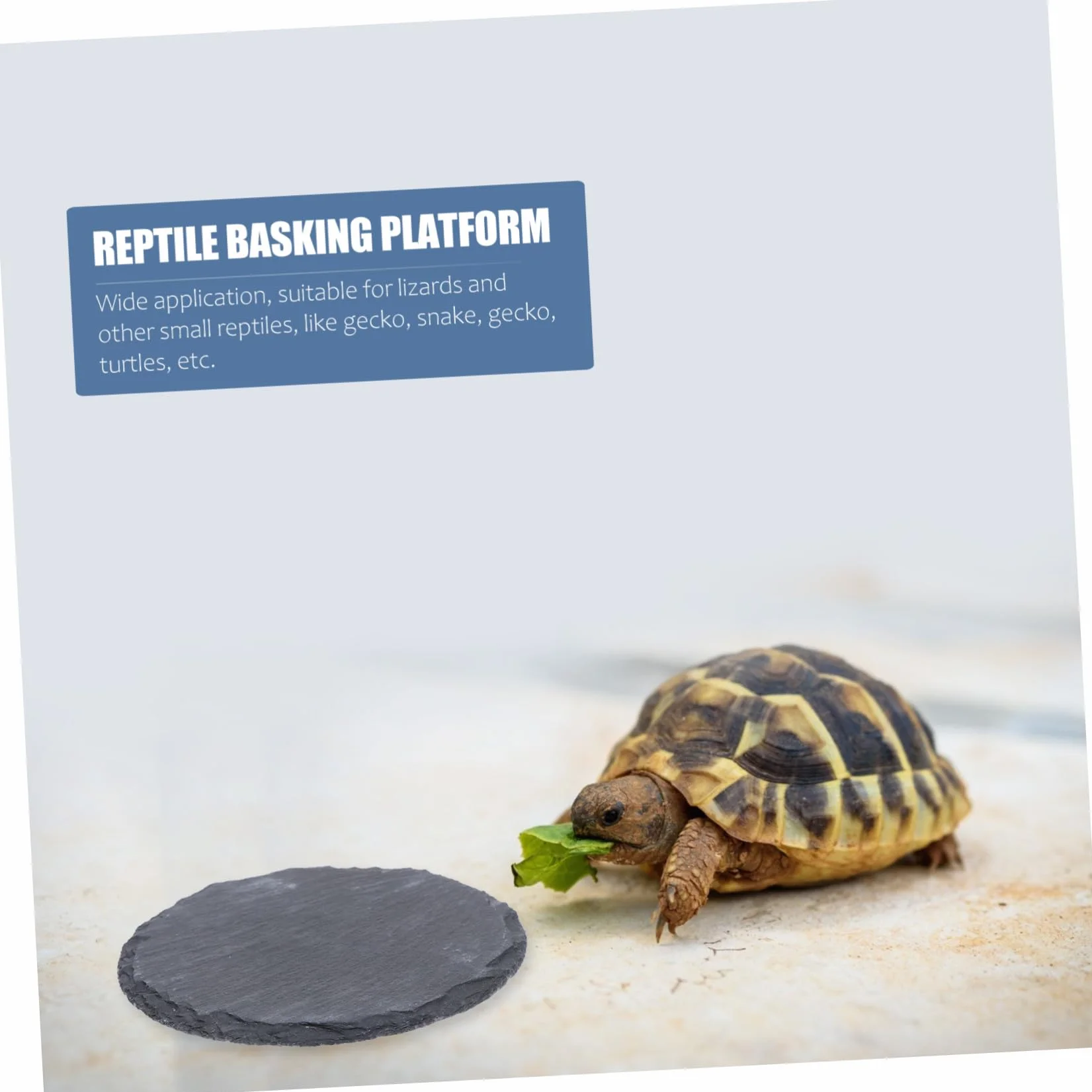 Pierre Plate pour Tortue et Reptile Plateforme Naturelle pour Bain de Soleil Mangeoire Décorative pour Lézard Gecko Serpent Accessoire Terrarium