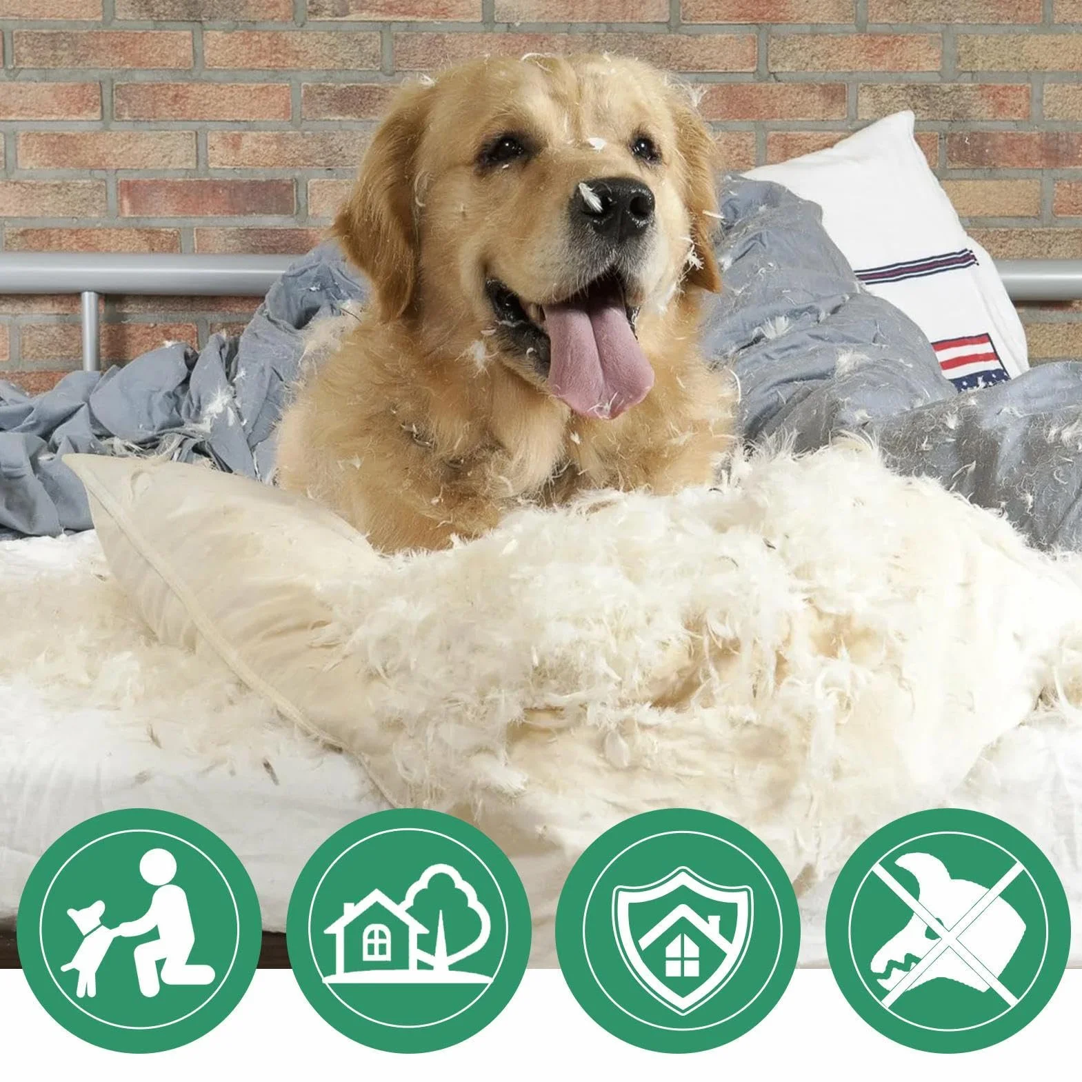 Spray anti-mastication amer pour chien, naturel et efficace contre le léchage et mâchage des meubles