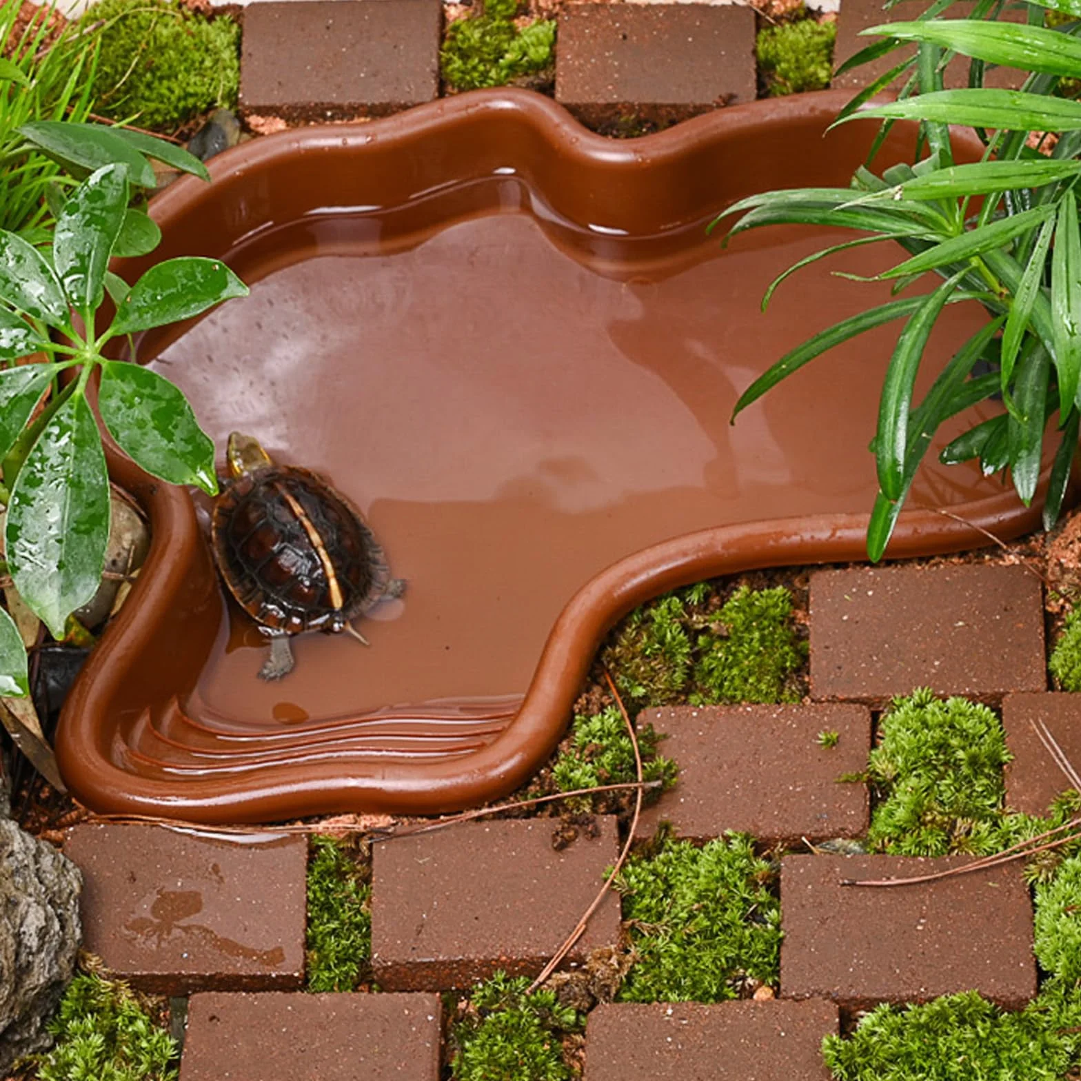 Baignoire pour Reptiles Piscine pour Tortue Terrestre avec Absorbeur d'eau Manuel