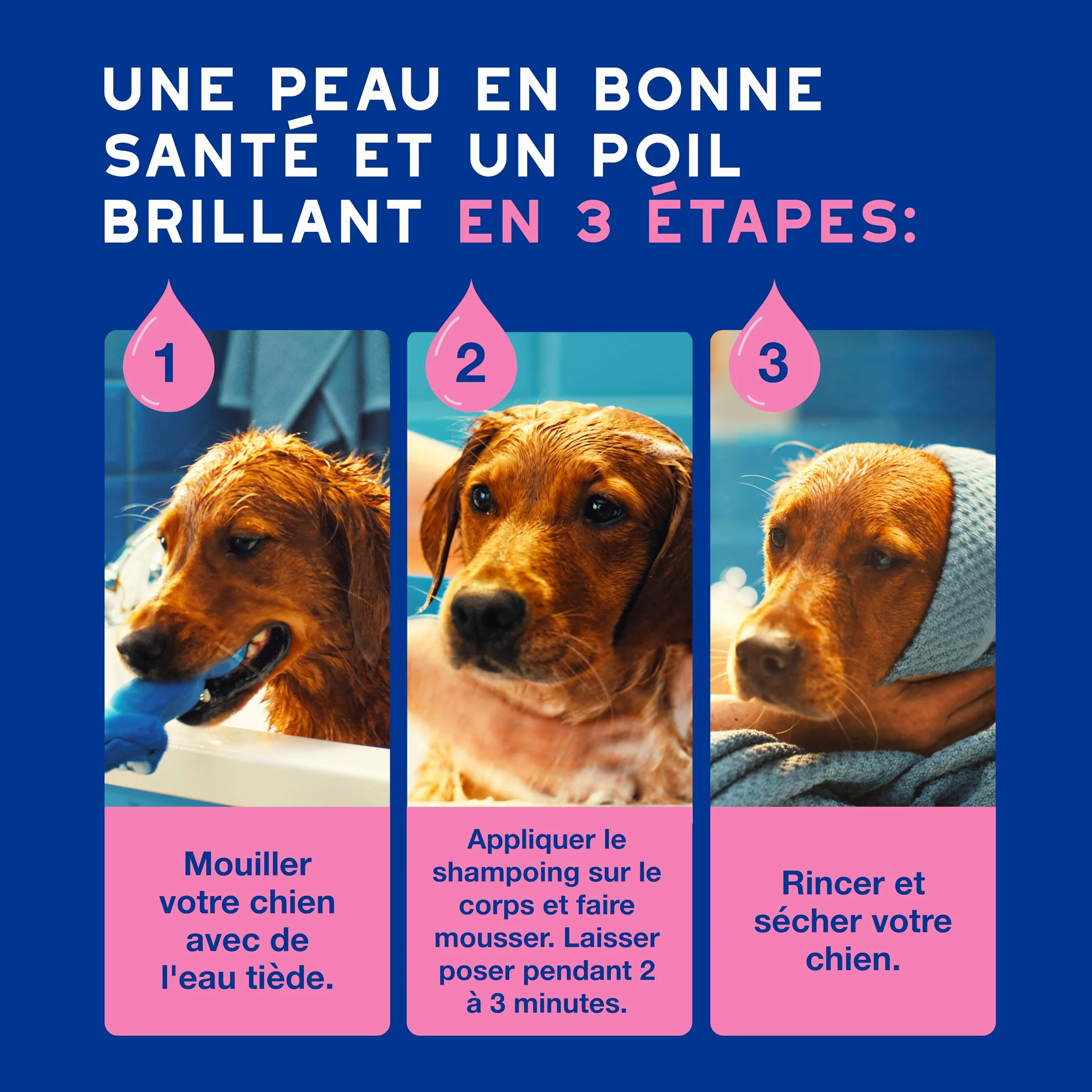 DOUXO Skin & Coat Spa - Ultra-Safe Shampoing Anti-démangeaisons pour Chien, 250mL, Nettoie et apaise la Peau, Laisse Le Pelage Doux et éclatant, Formule respectueuse de la Peau.