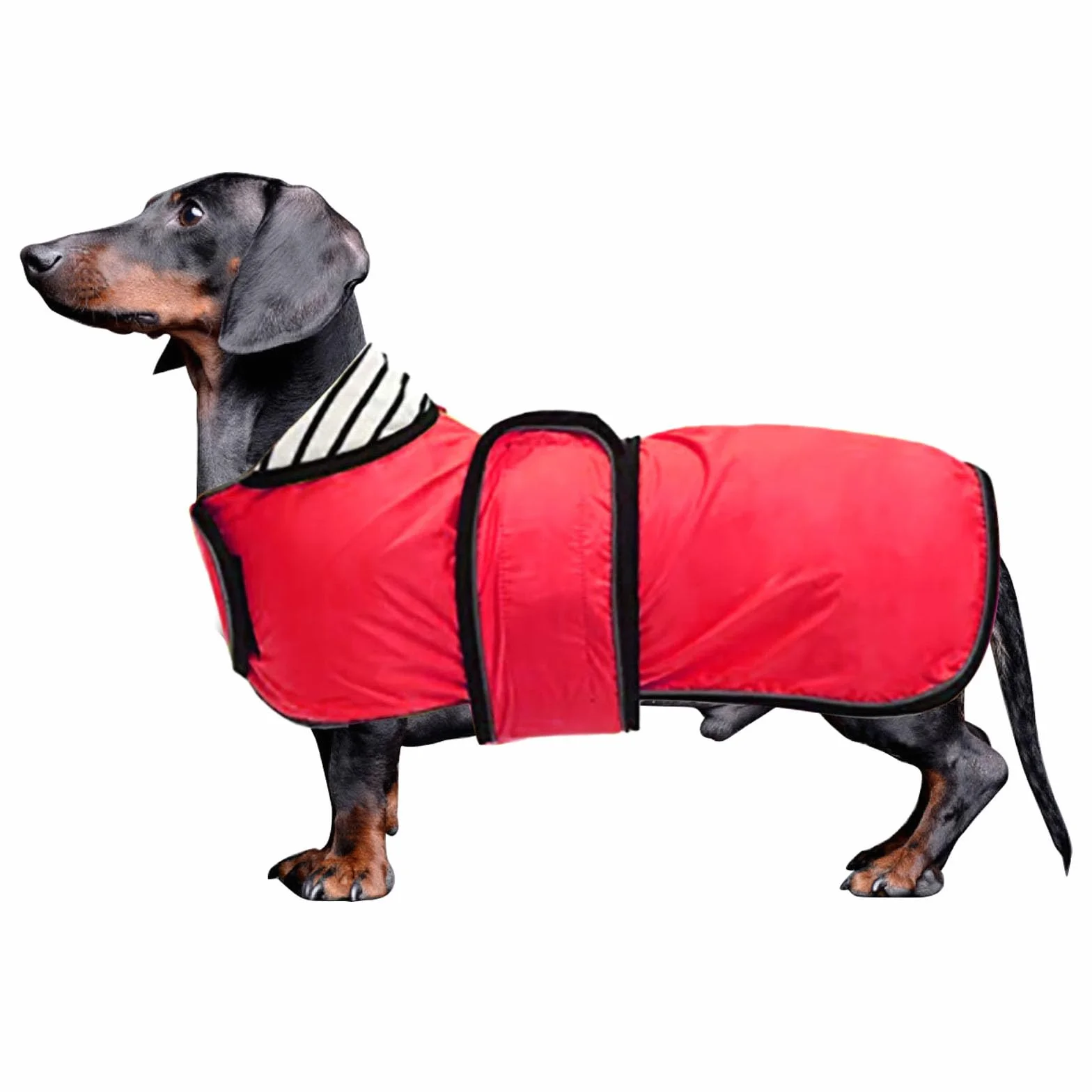 MOREZI Imperméable chien avec bandes réfléchissantes et bretelles réglables Rouge