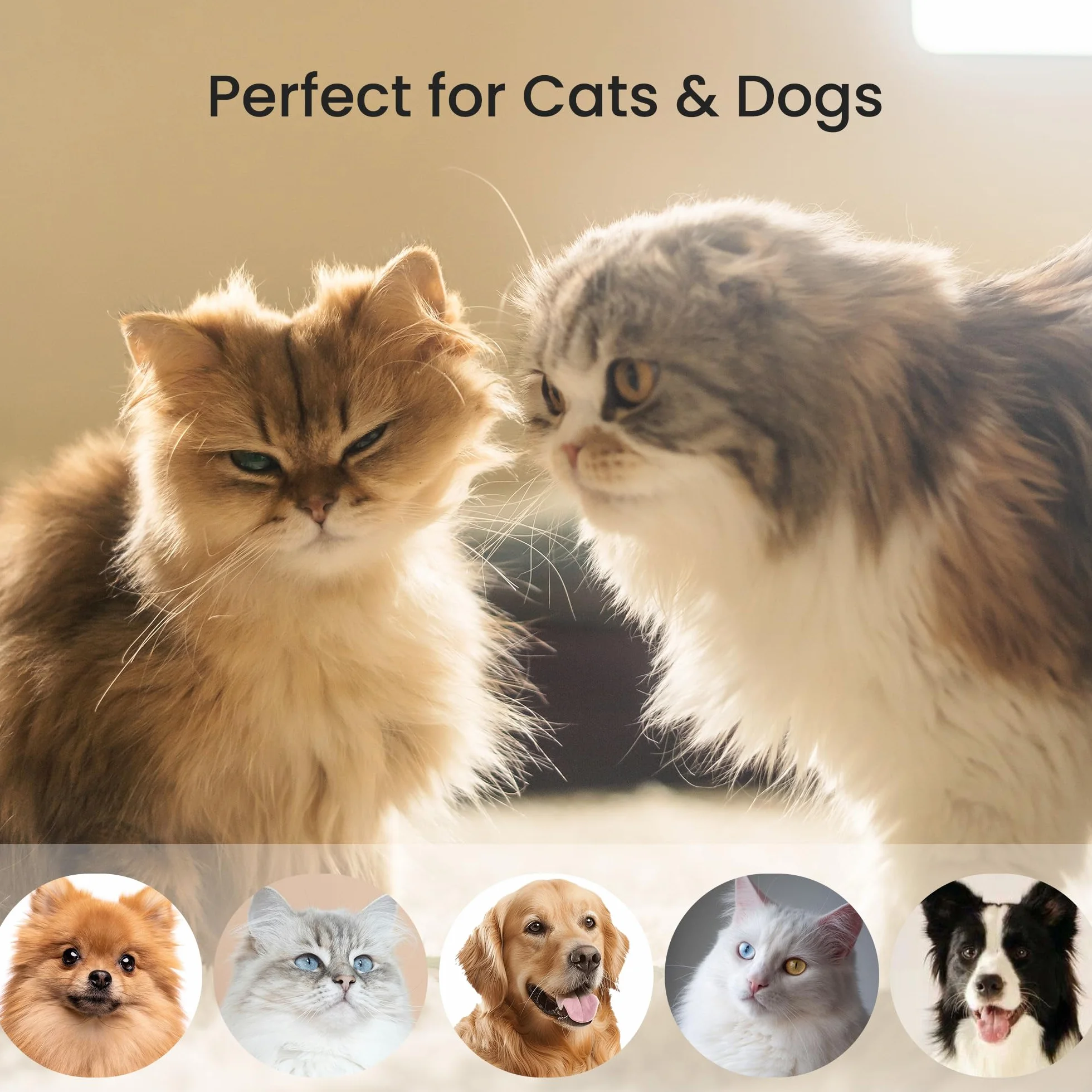 dancemoon PawRake Brosse pour Chats et Chiens Mue Démêlage sous-Poil Outil Toilettage Animaux Poils Mi-Longs Longs